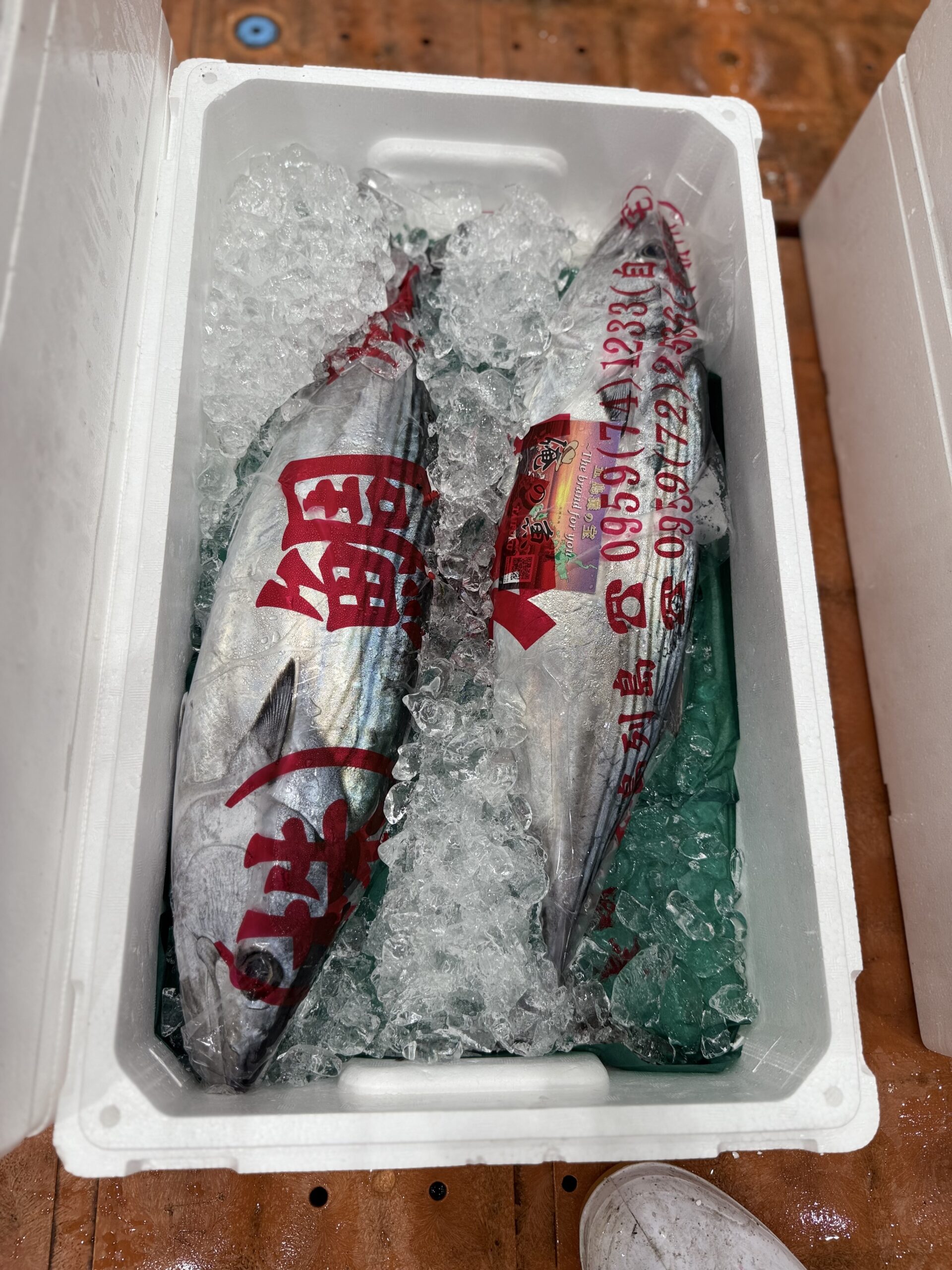 Katsuo