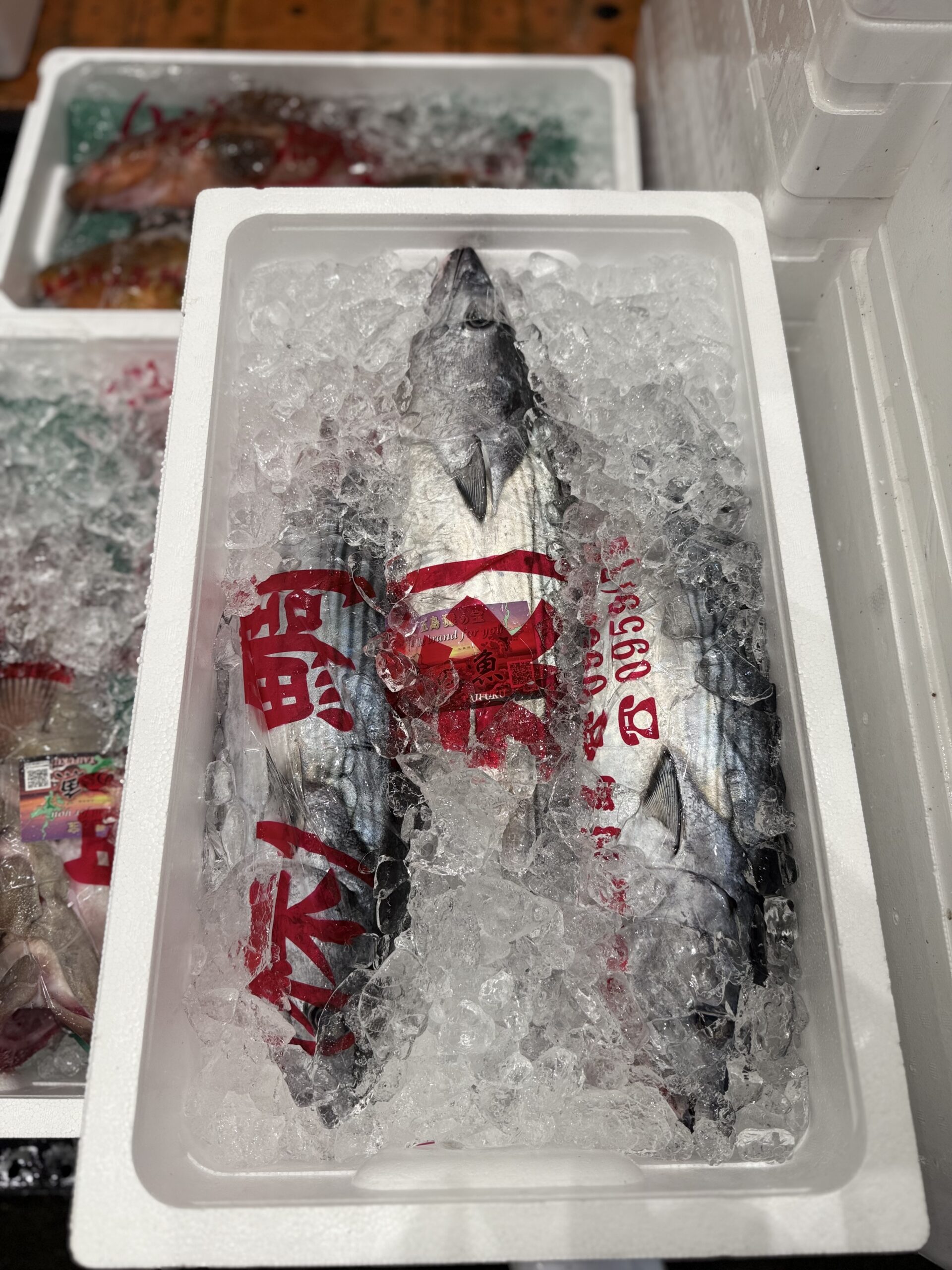 Katsuo