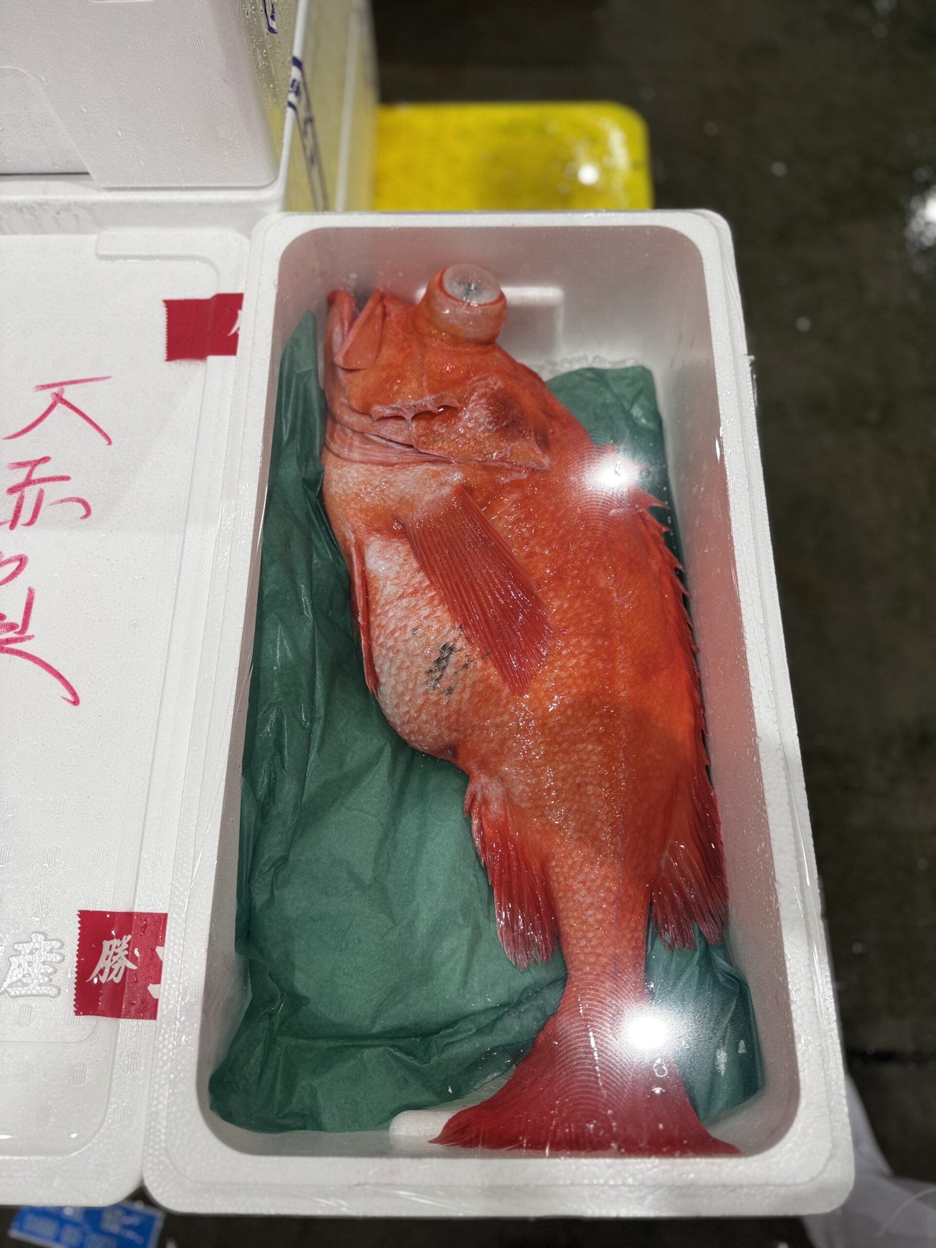 Akou
