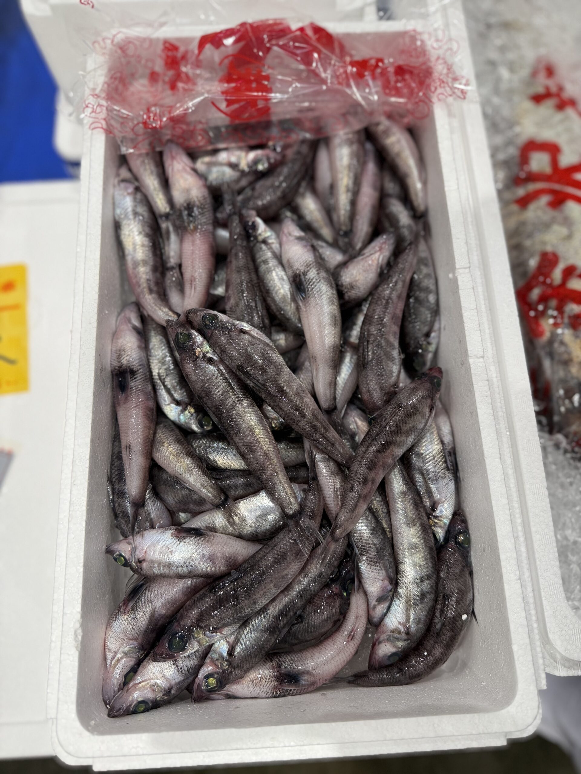 Mehikari