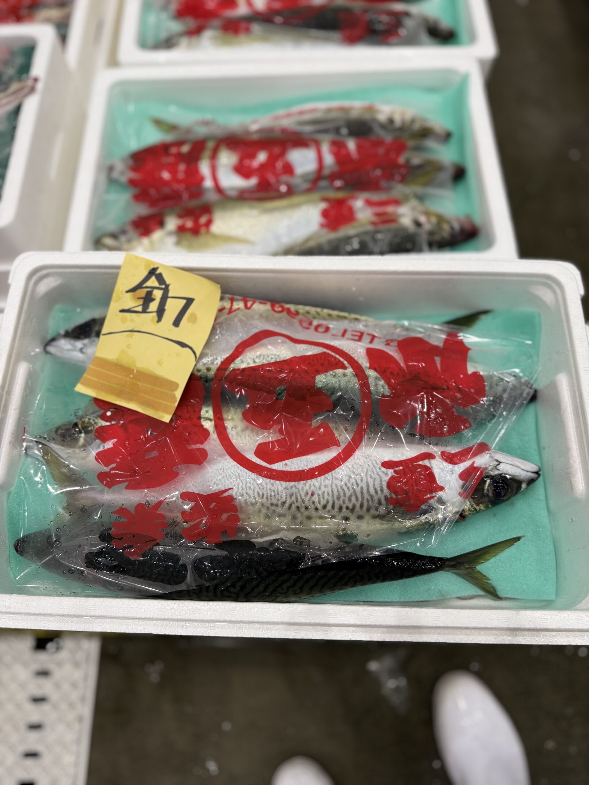 Saba
