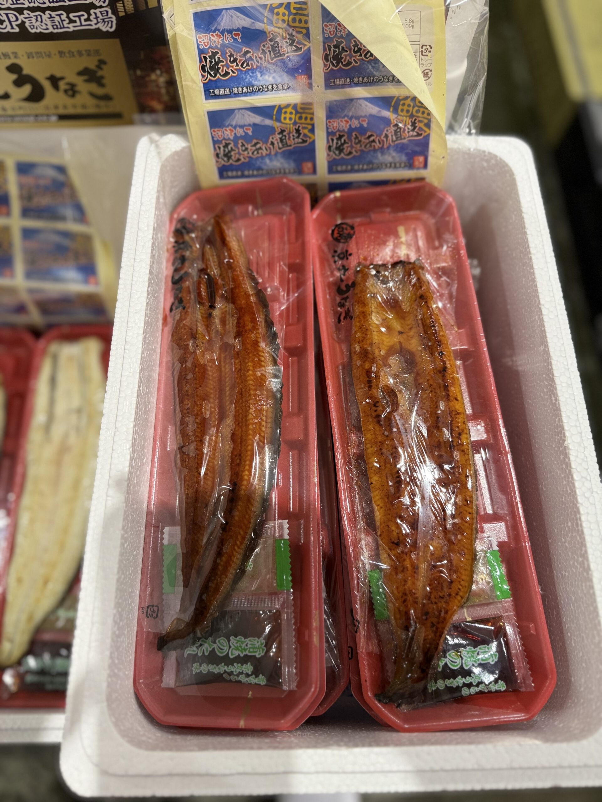 Unagi Kabayaki