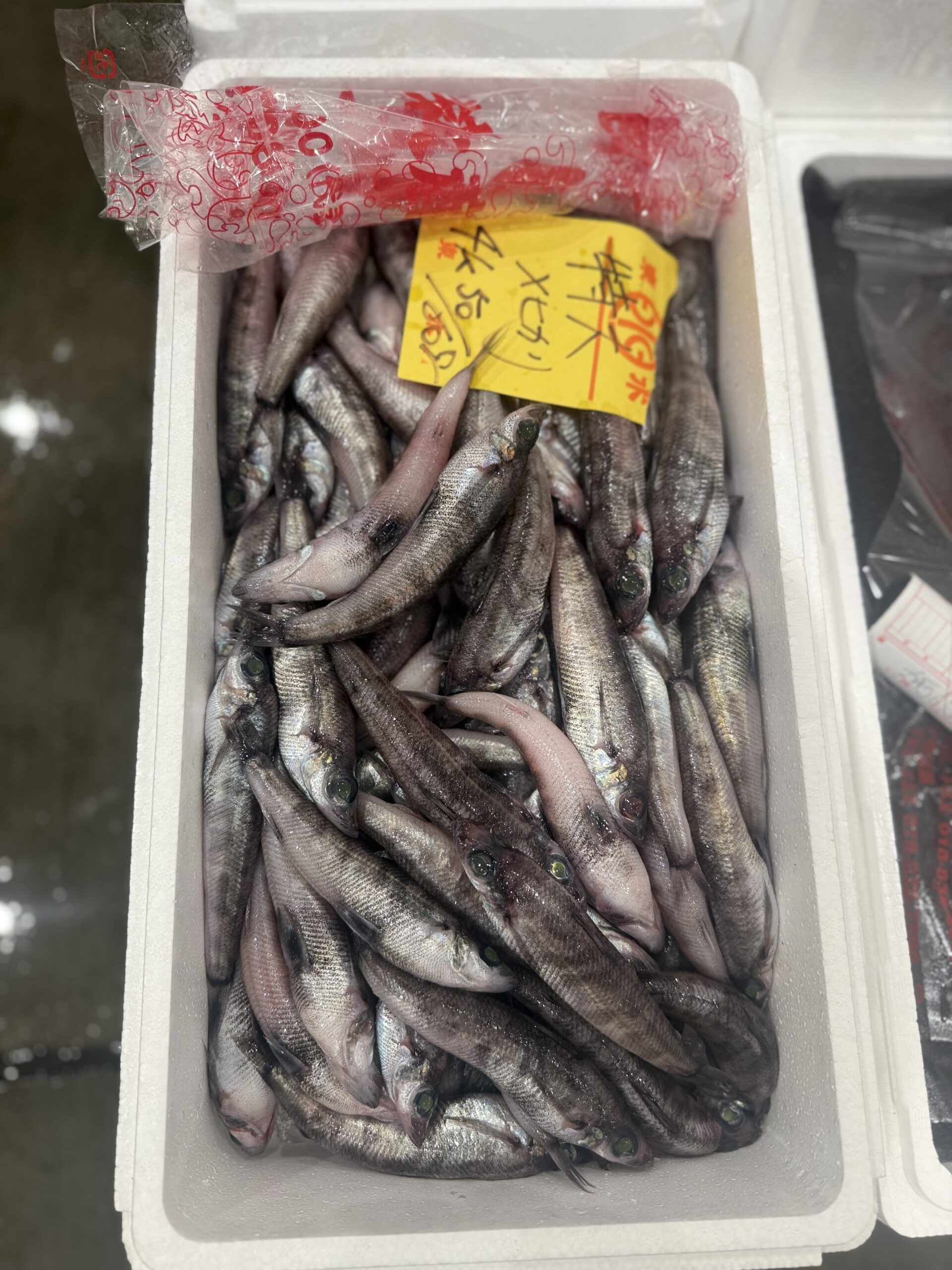 Mehikari