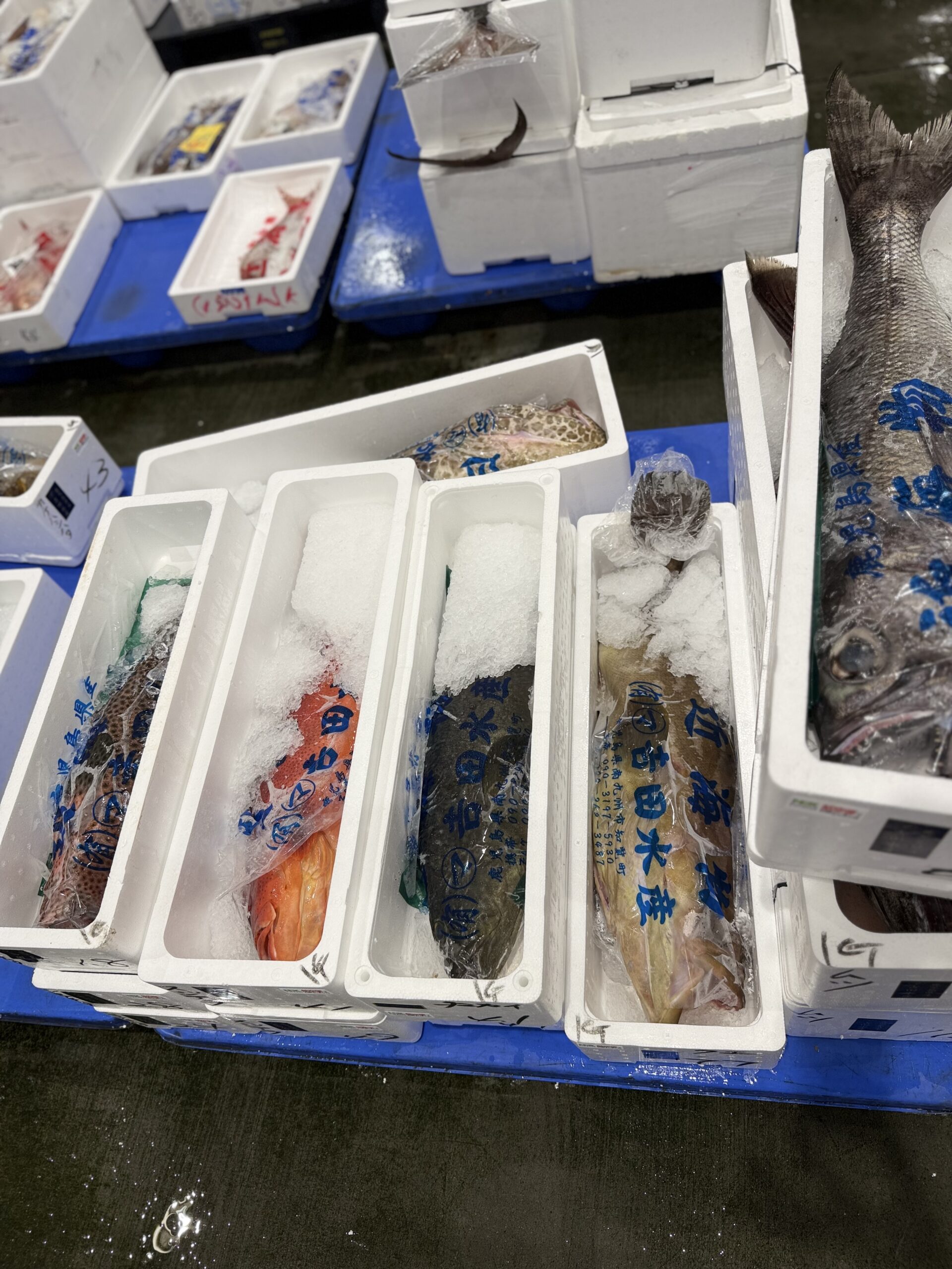 Kue/Hata