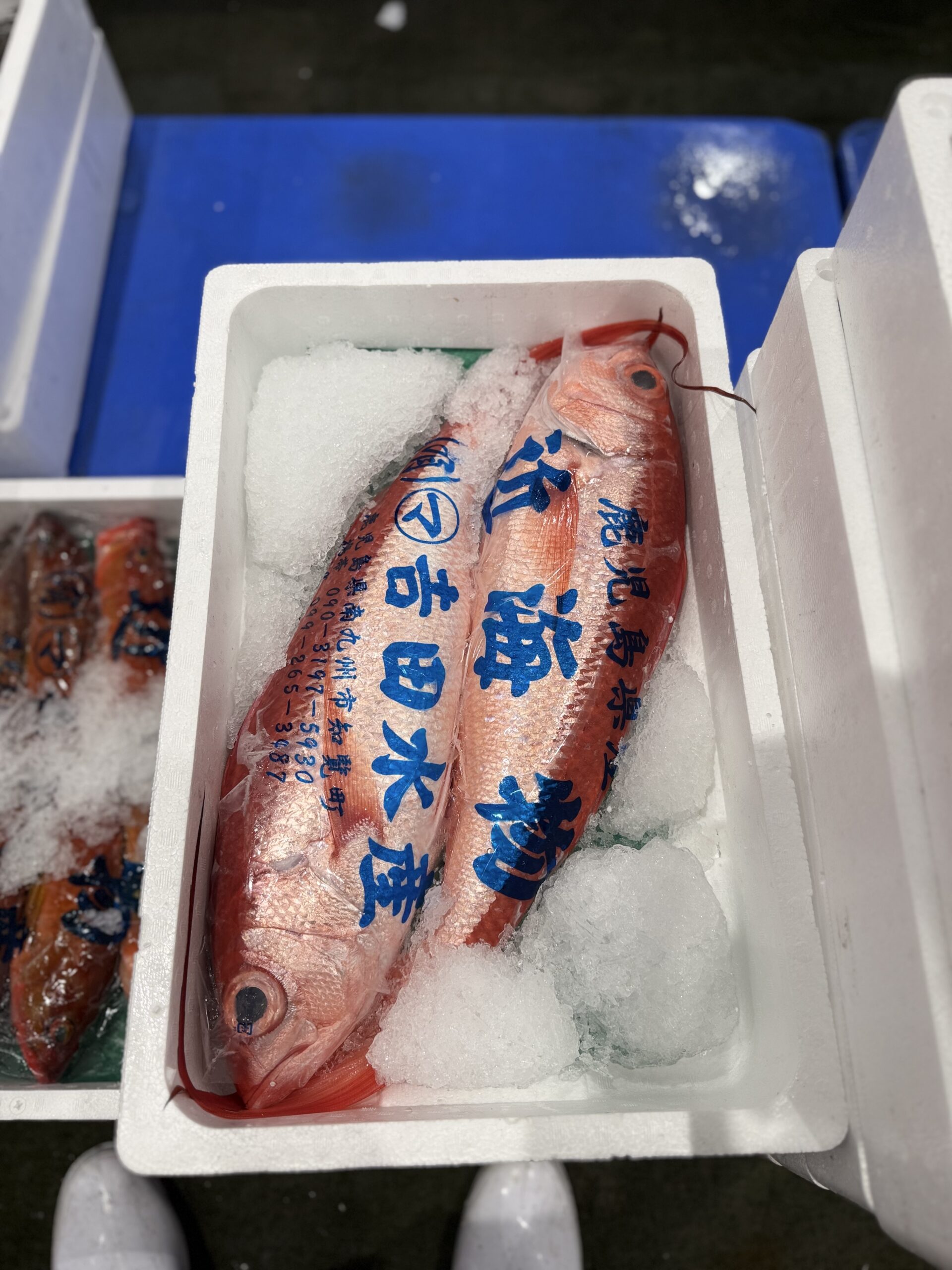 Hamadai/Onaga