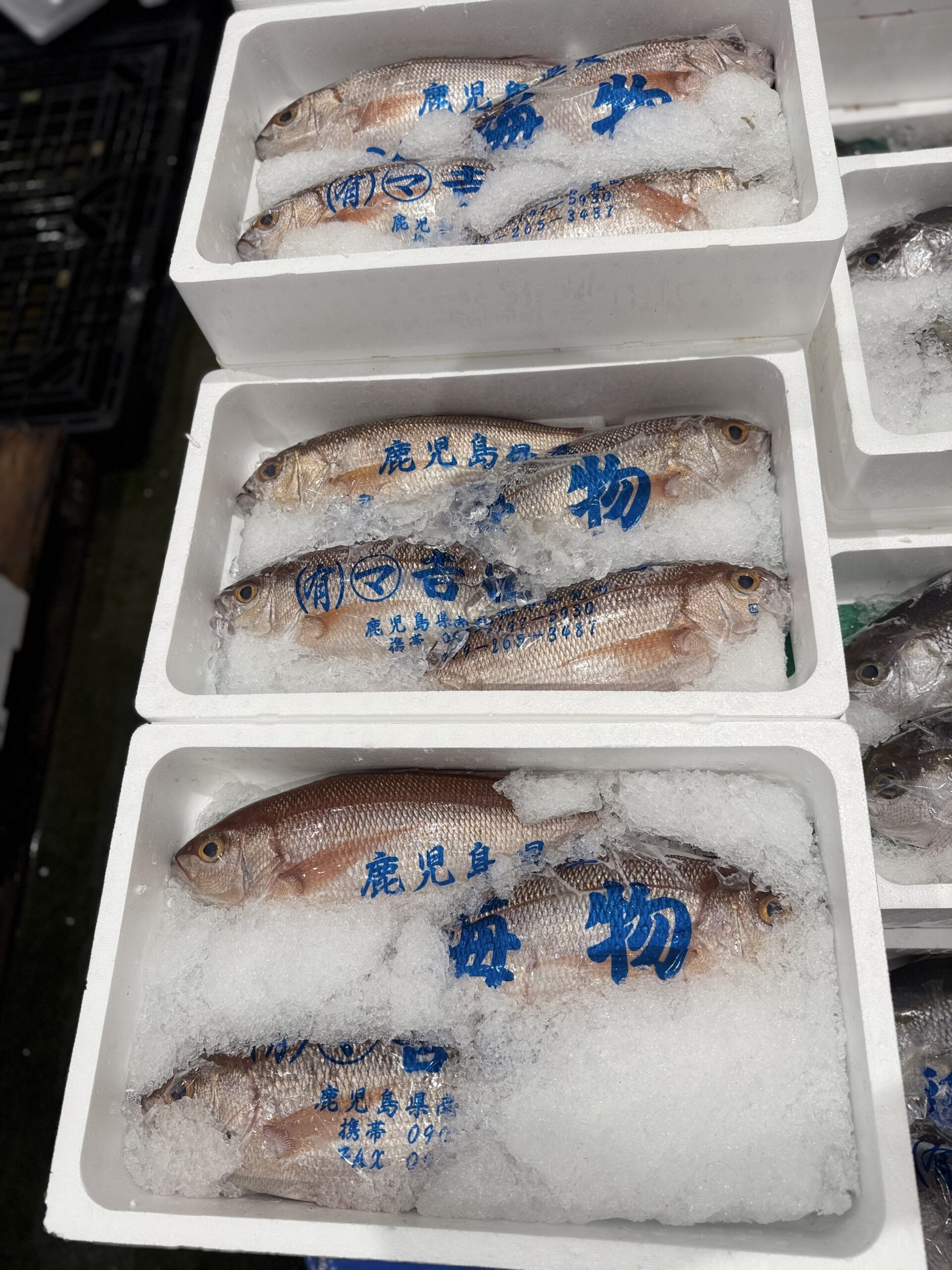 Himedai