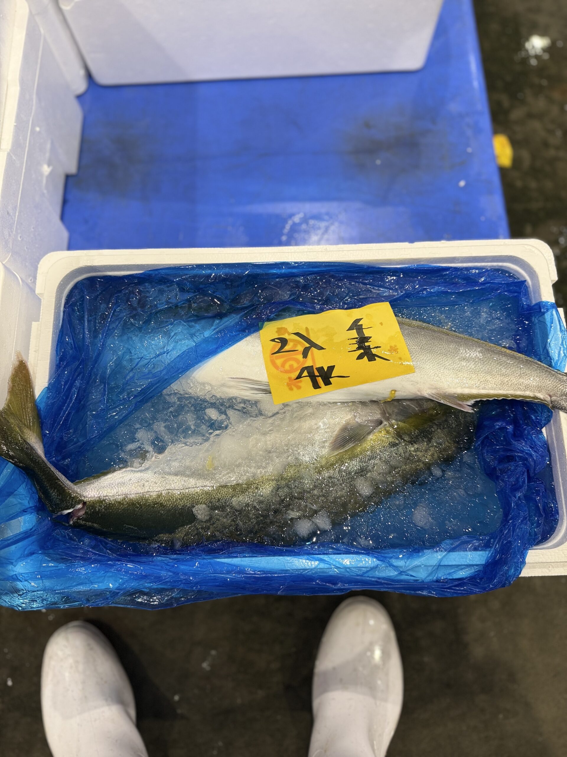 Hamachi