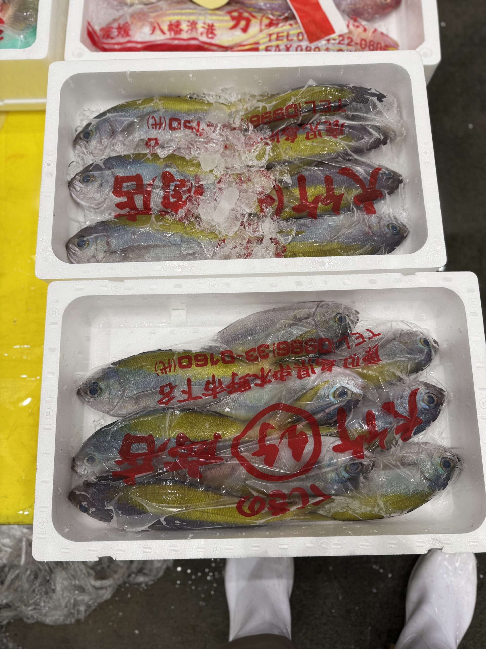 Umeiro