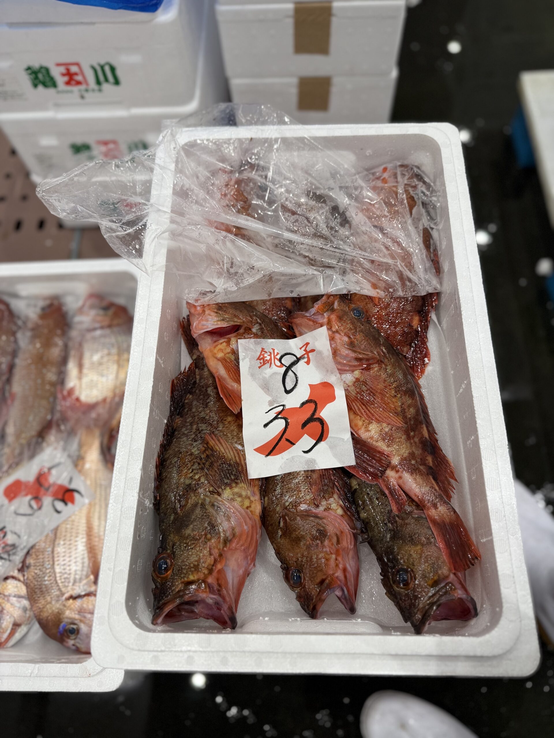 Kasago