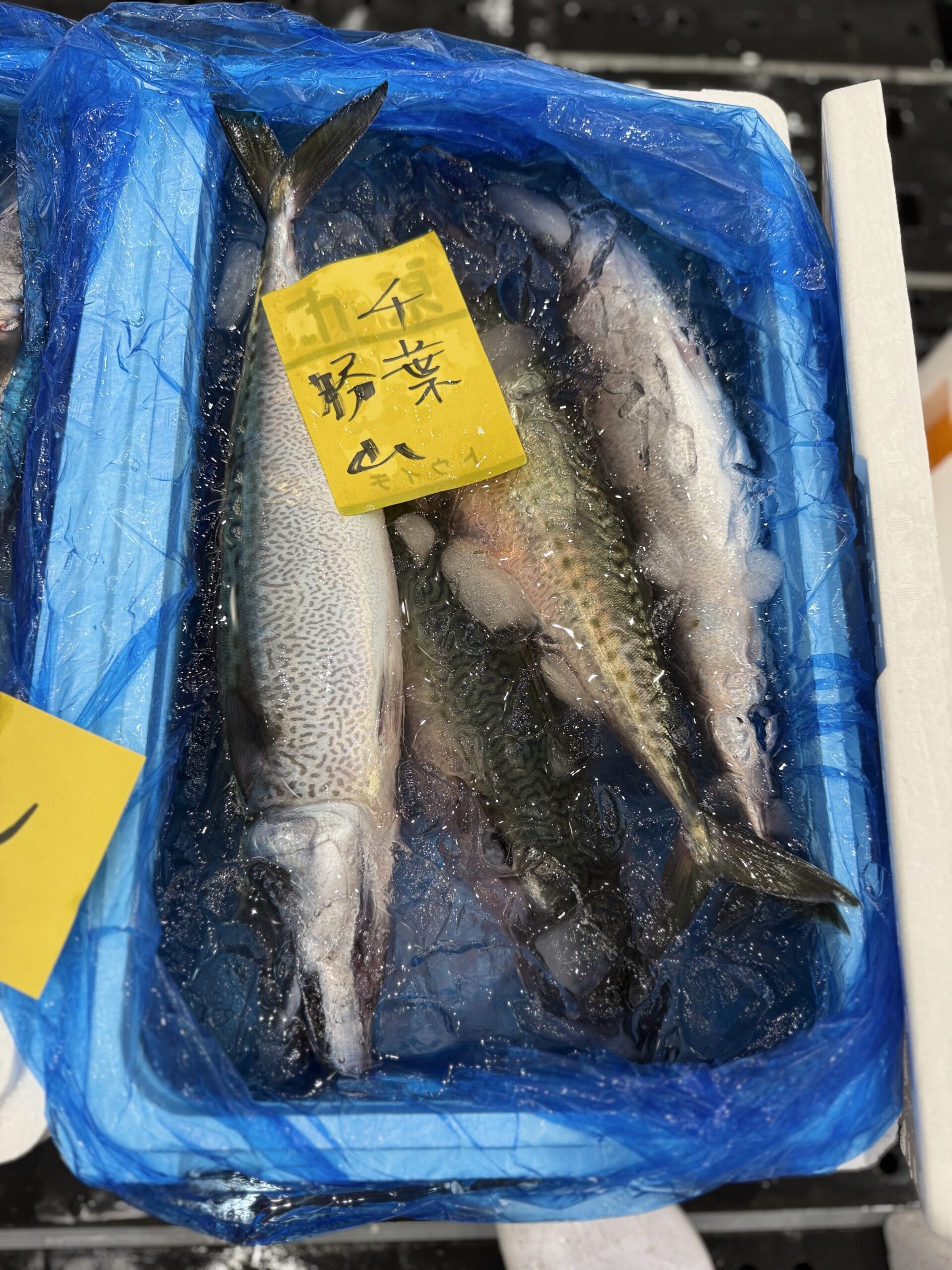 Saba