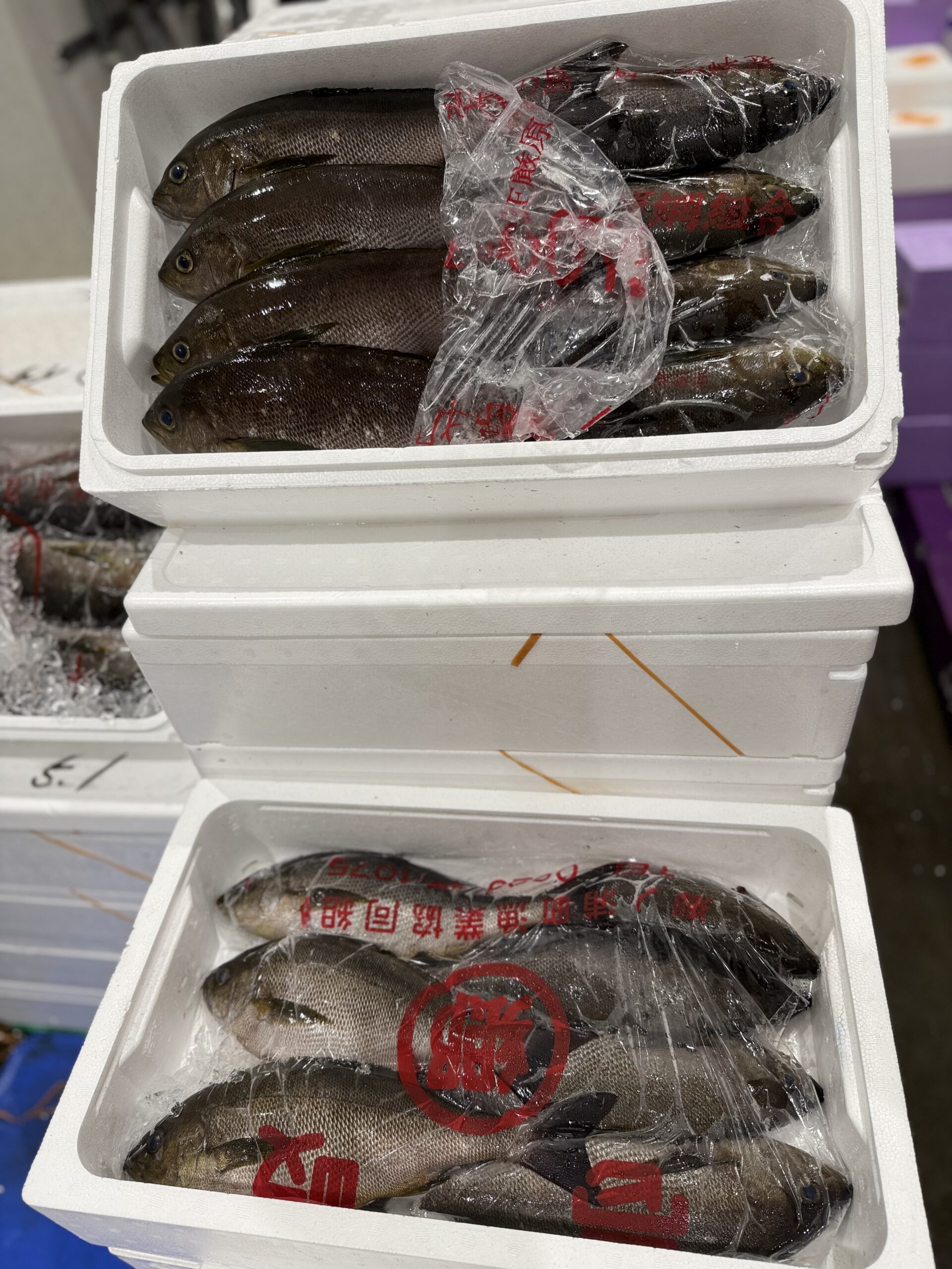 Isaki