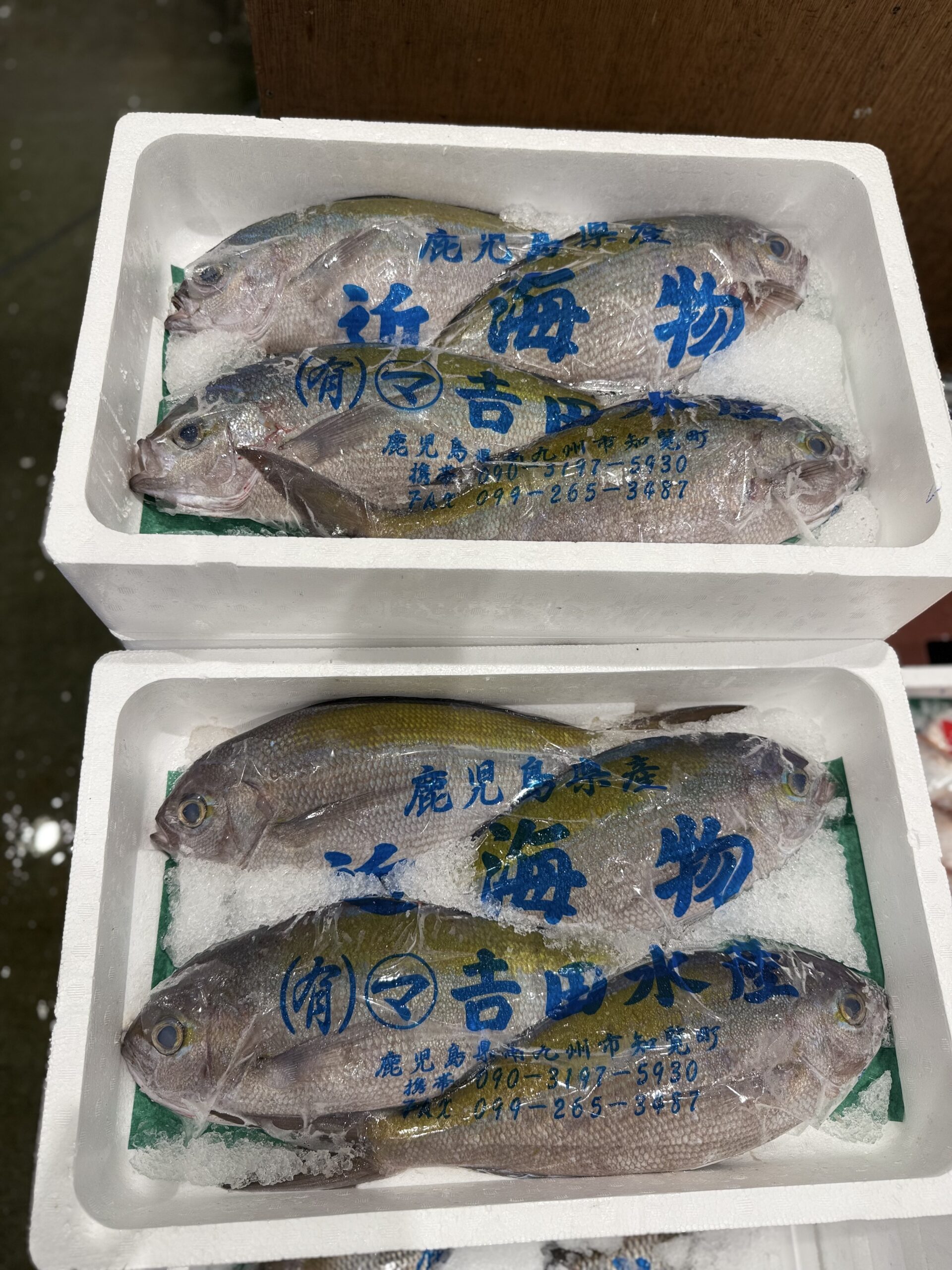 Umeiro