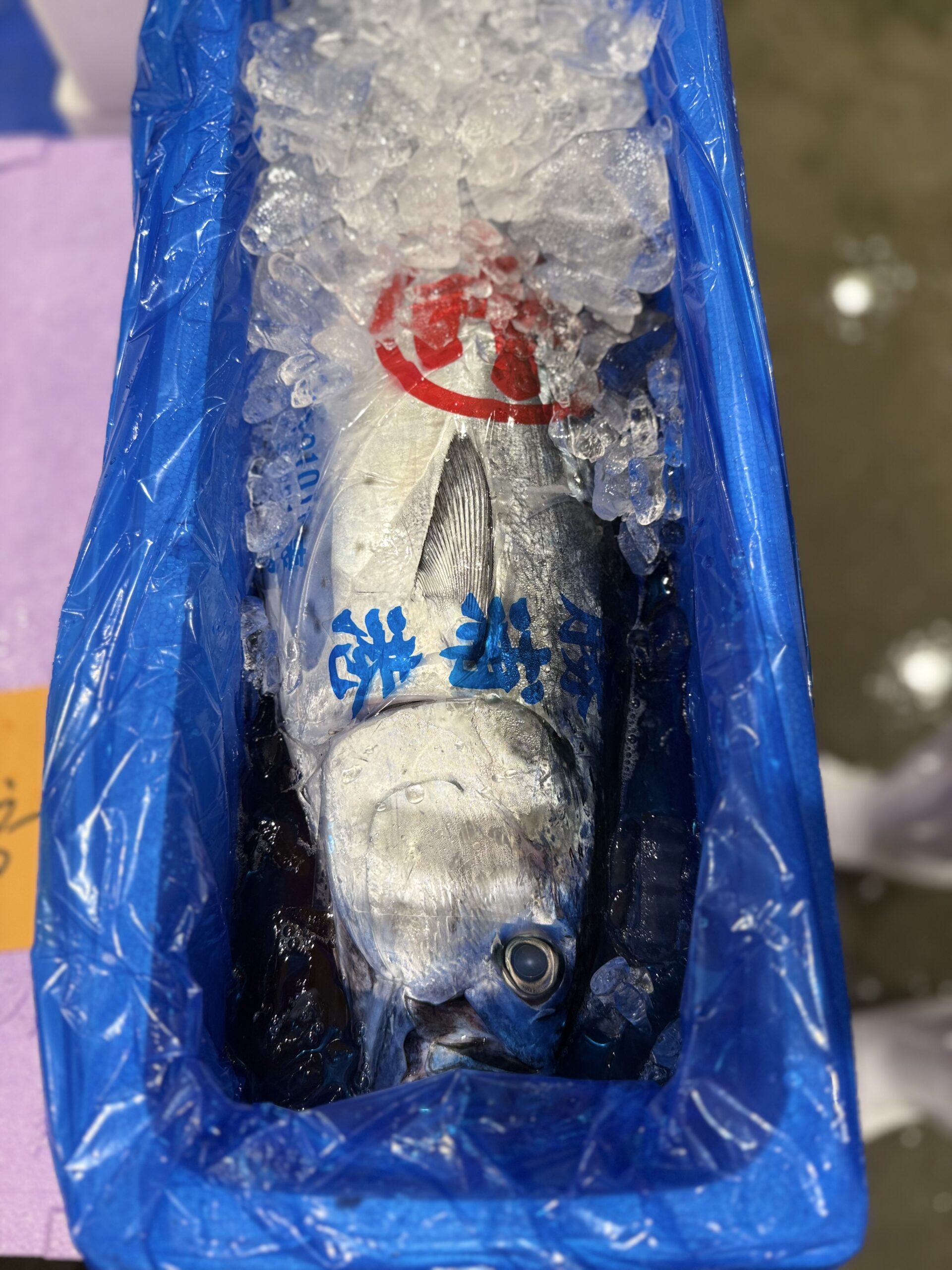 Katsuo