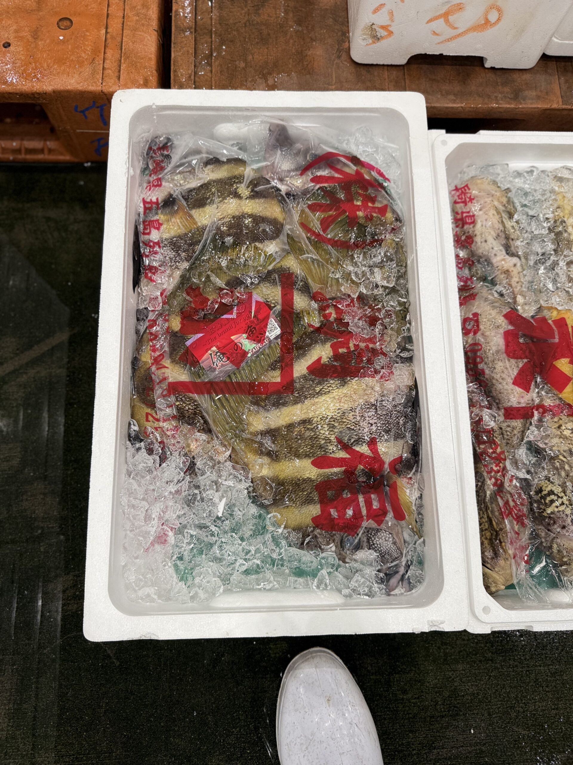 Tengudai