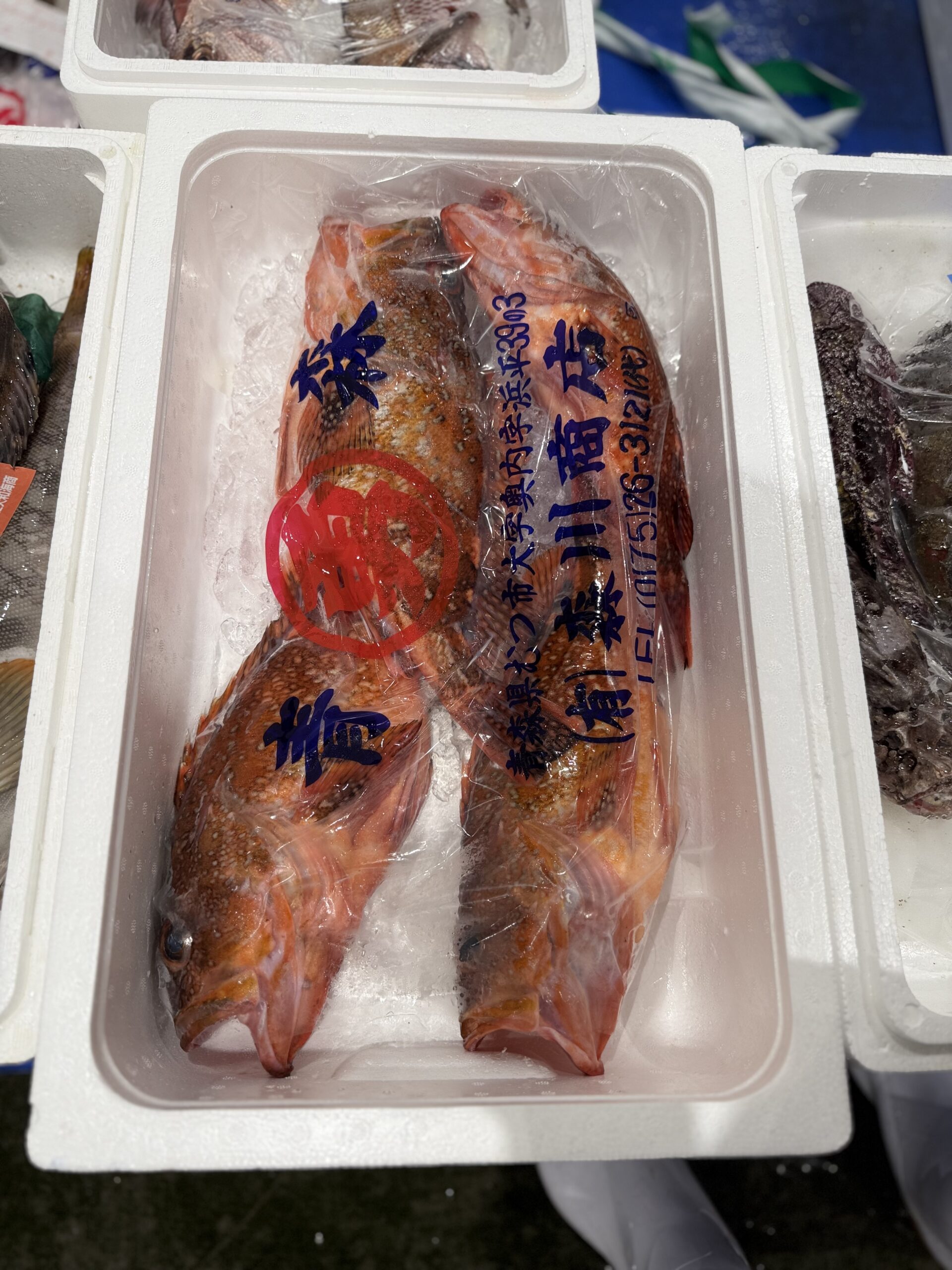 Kasago