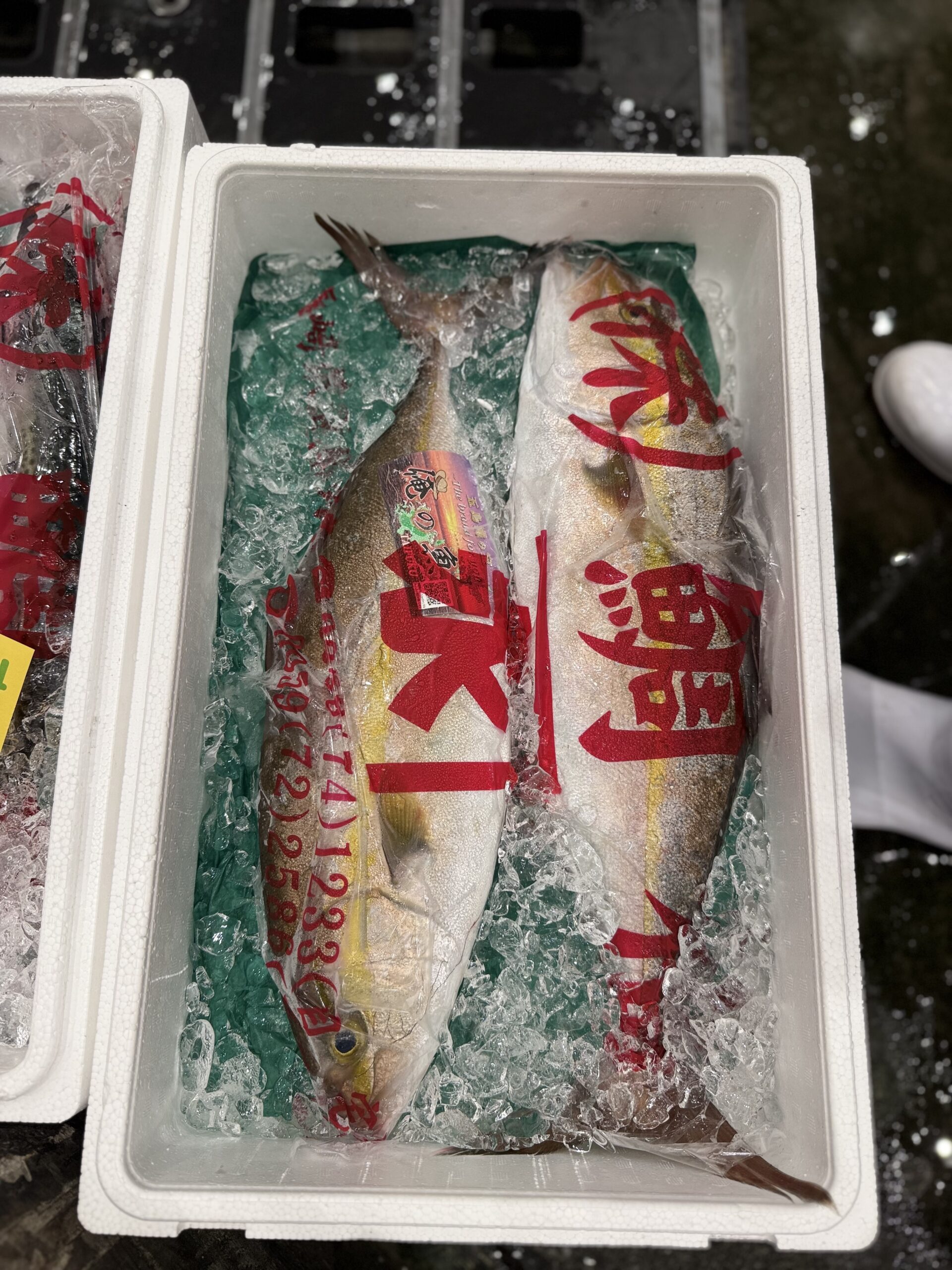 Kanpachi