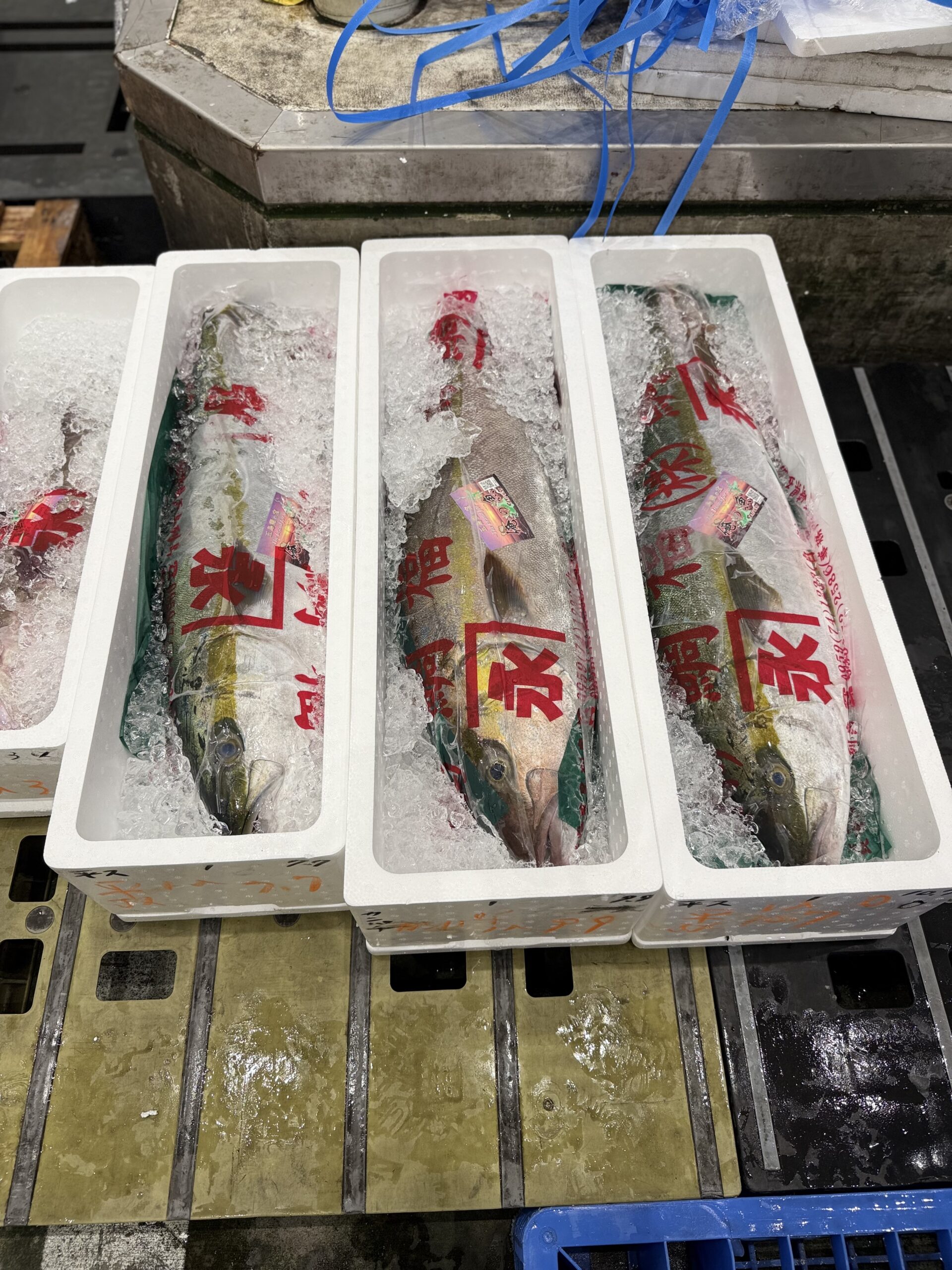 Buri/Kanpachi