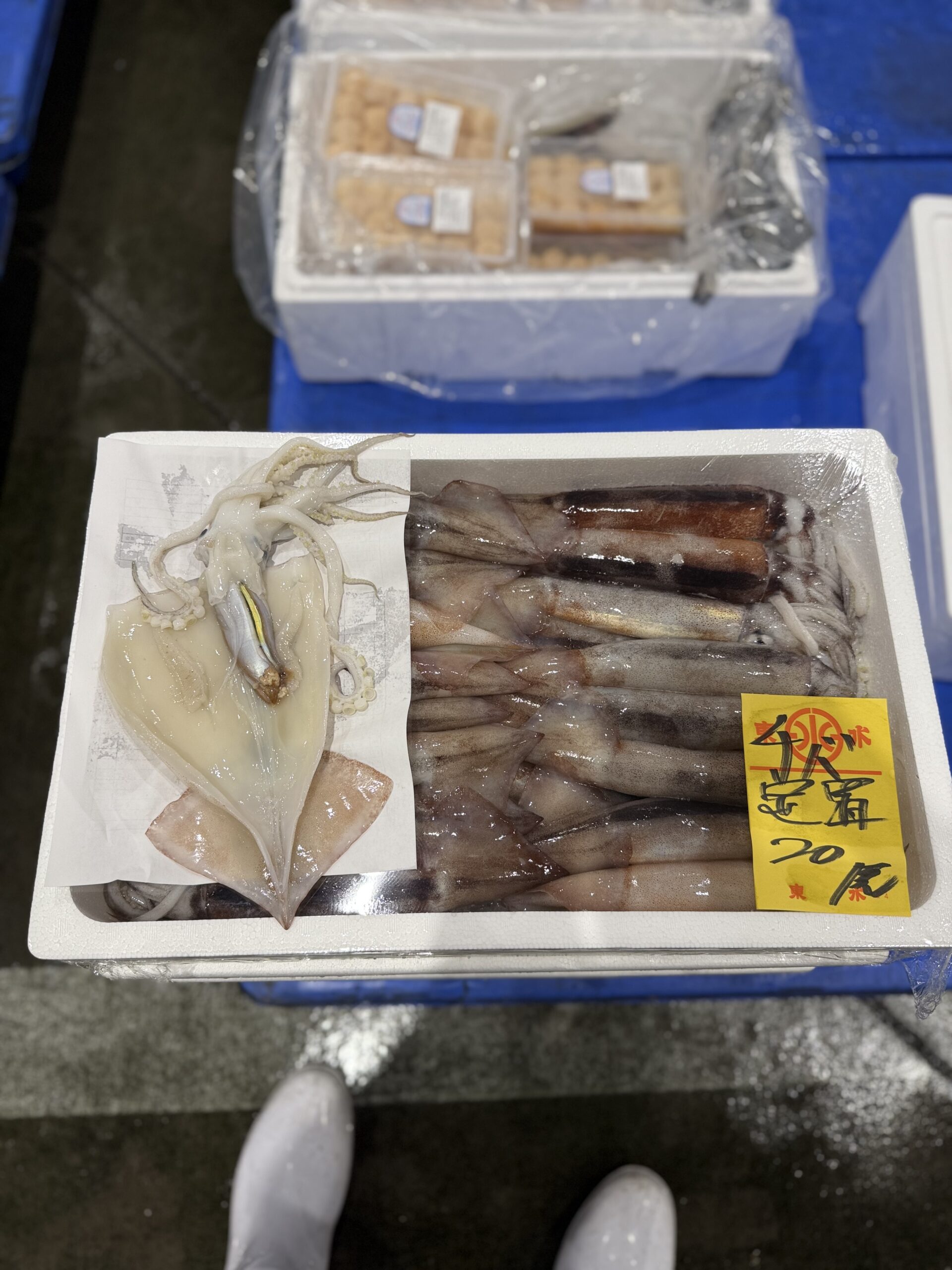 Surume Ika