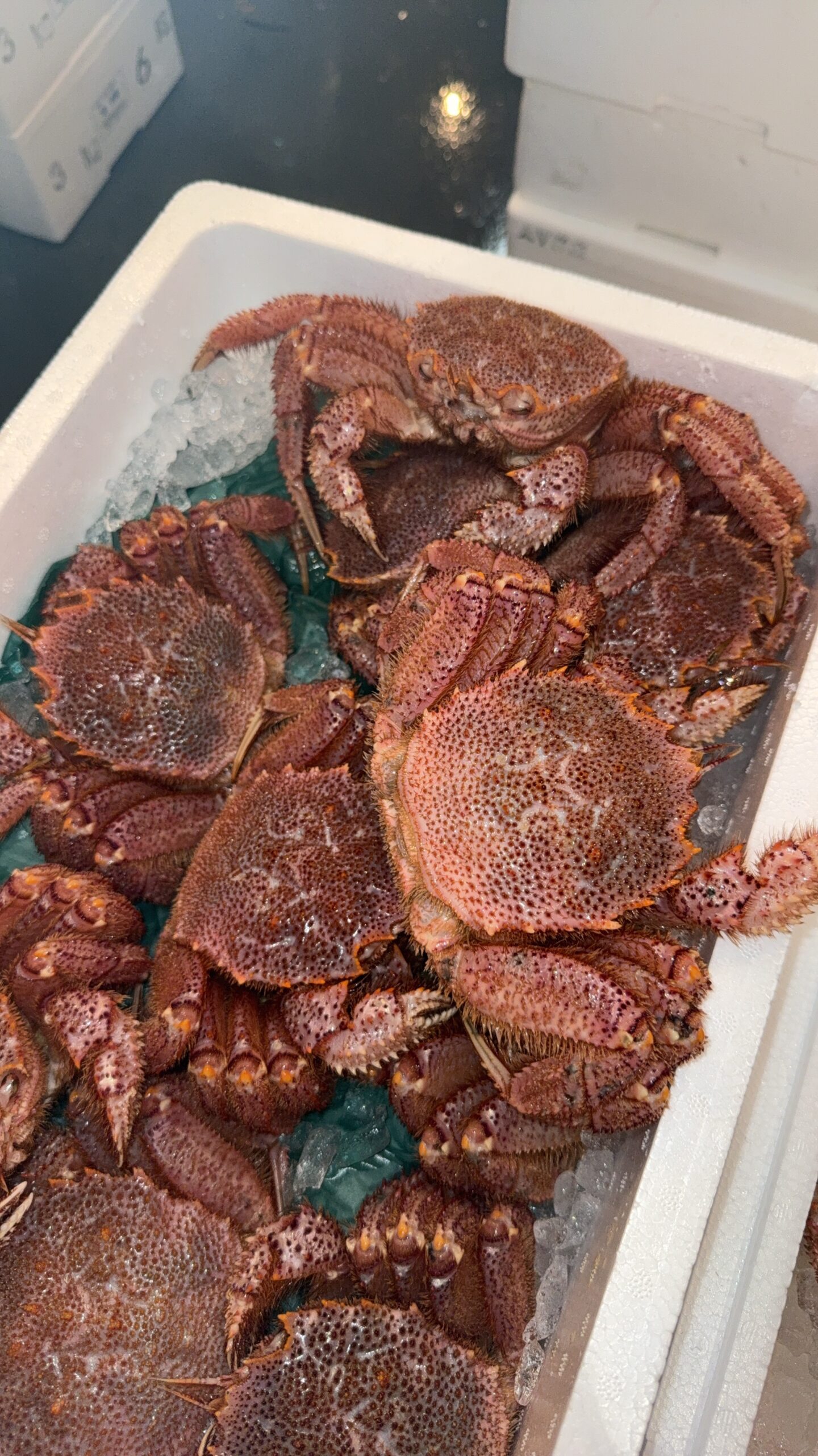 Kegani