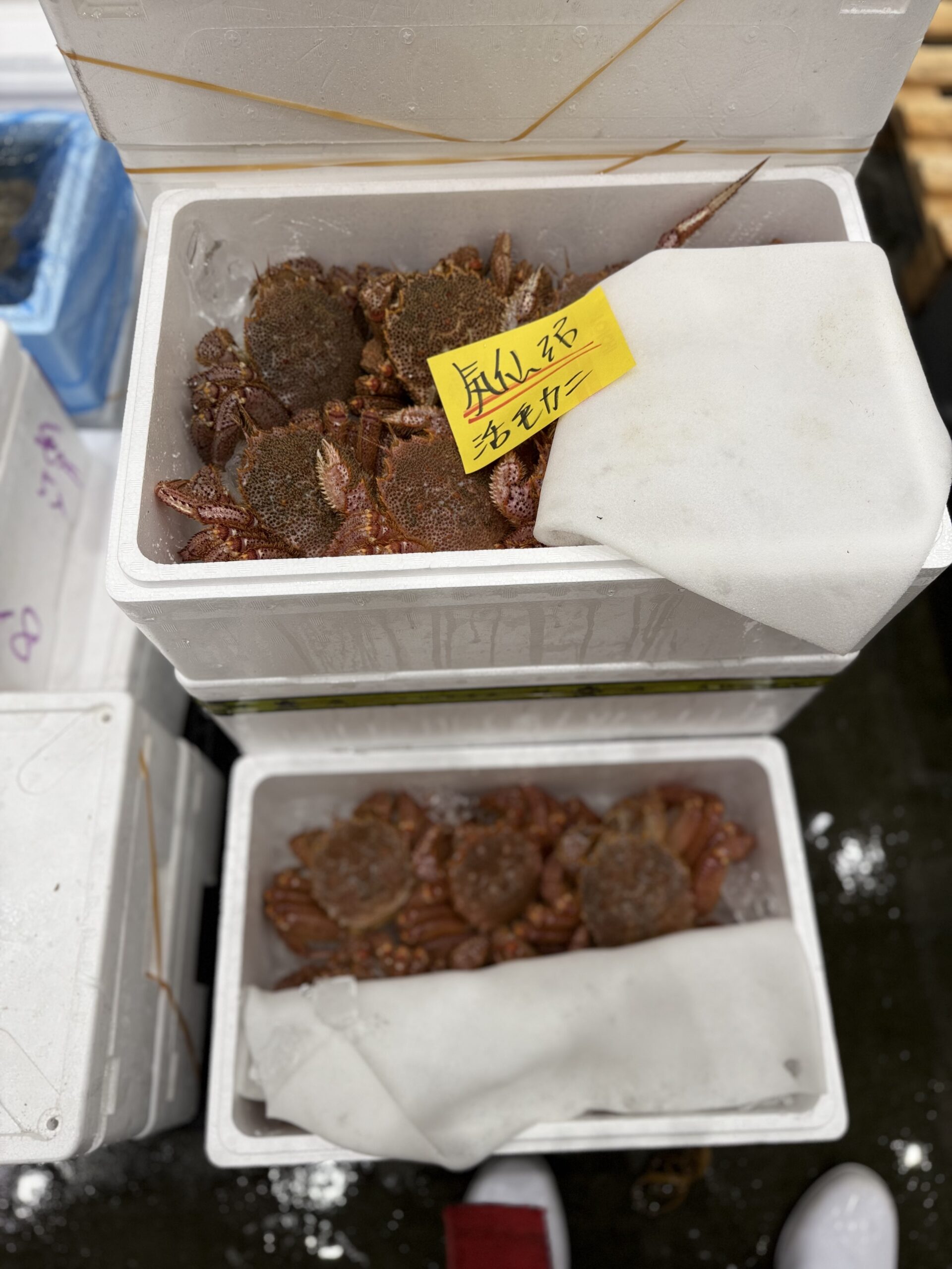 Kegani