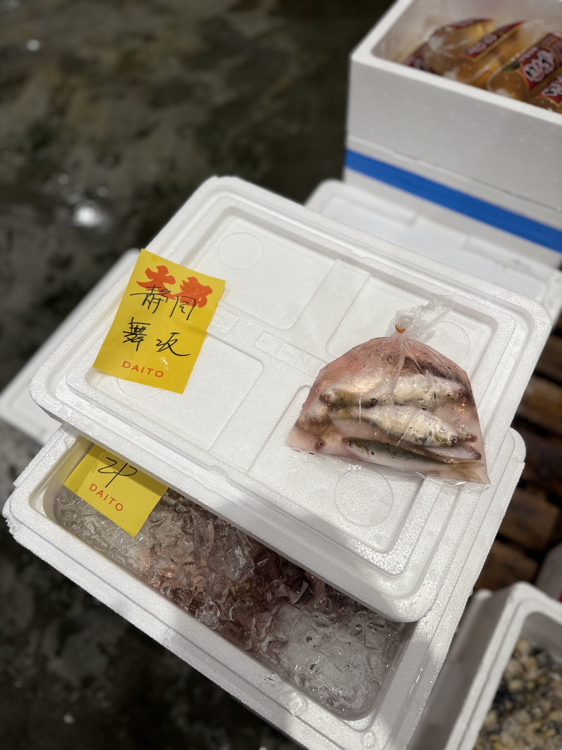 Shinko