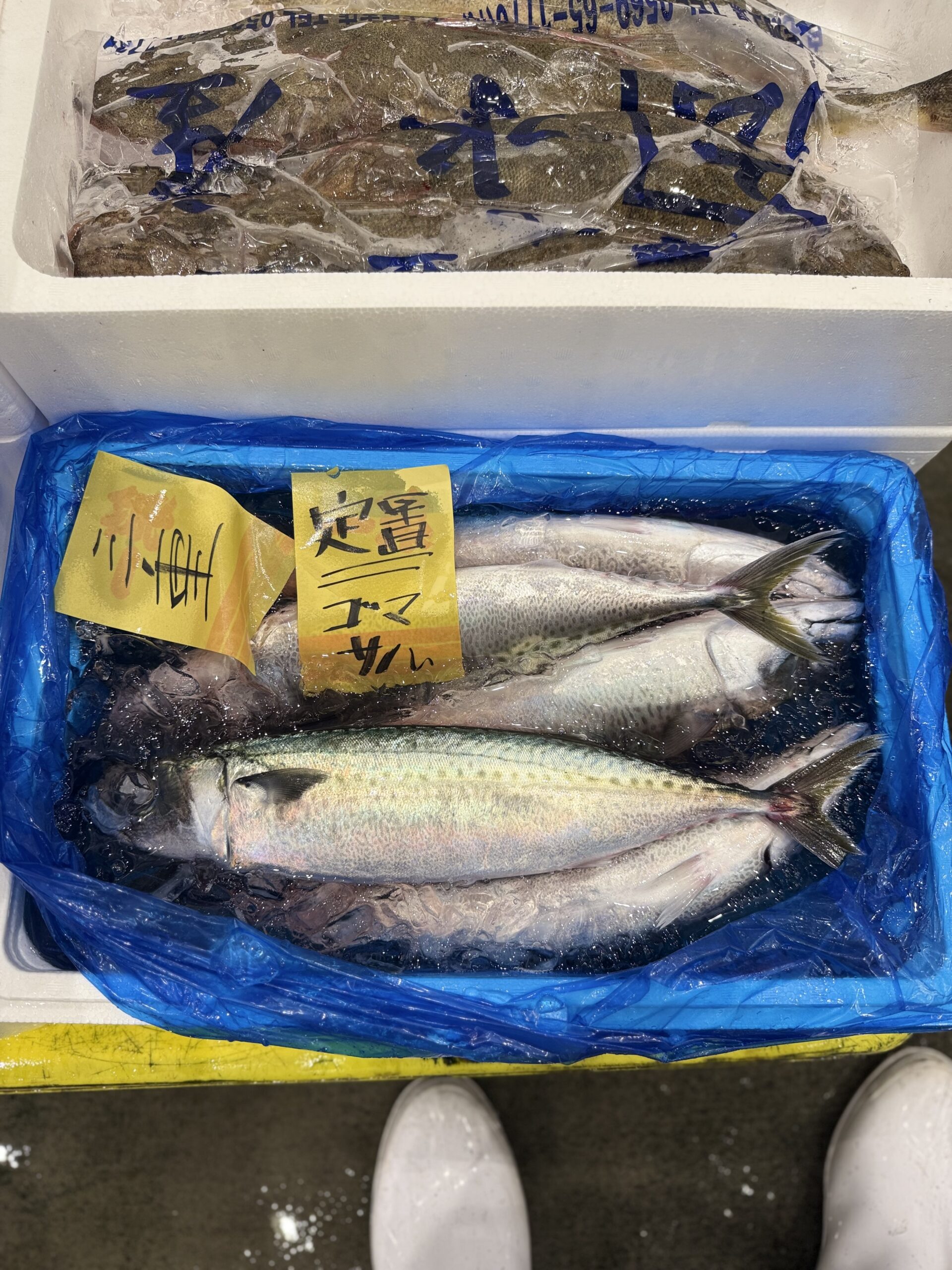 Goma Saba