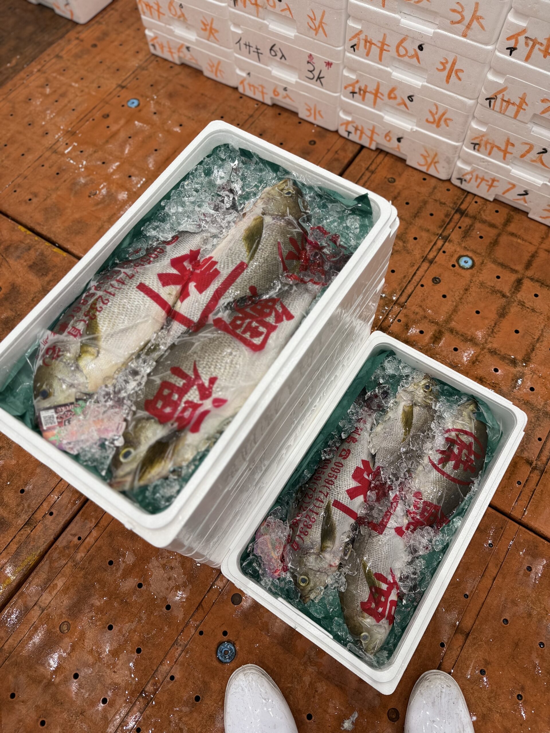 Isaki