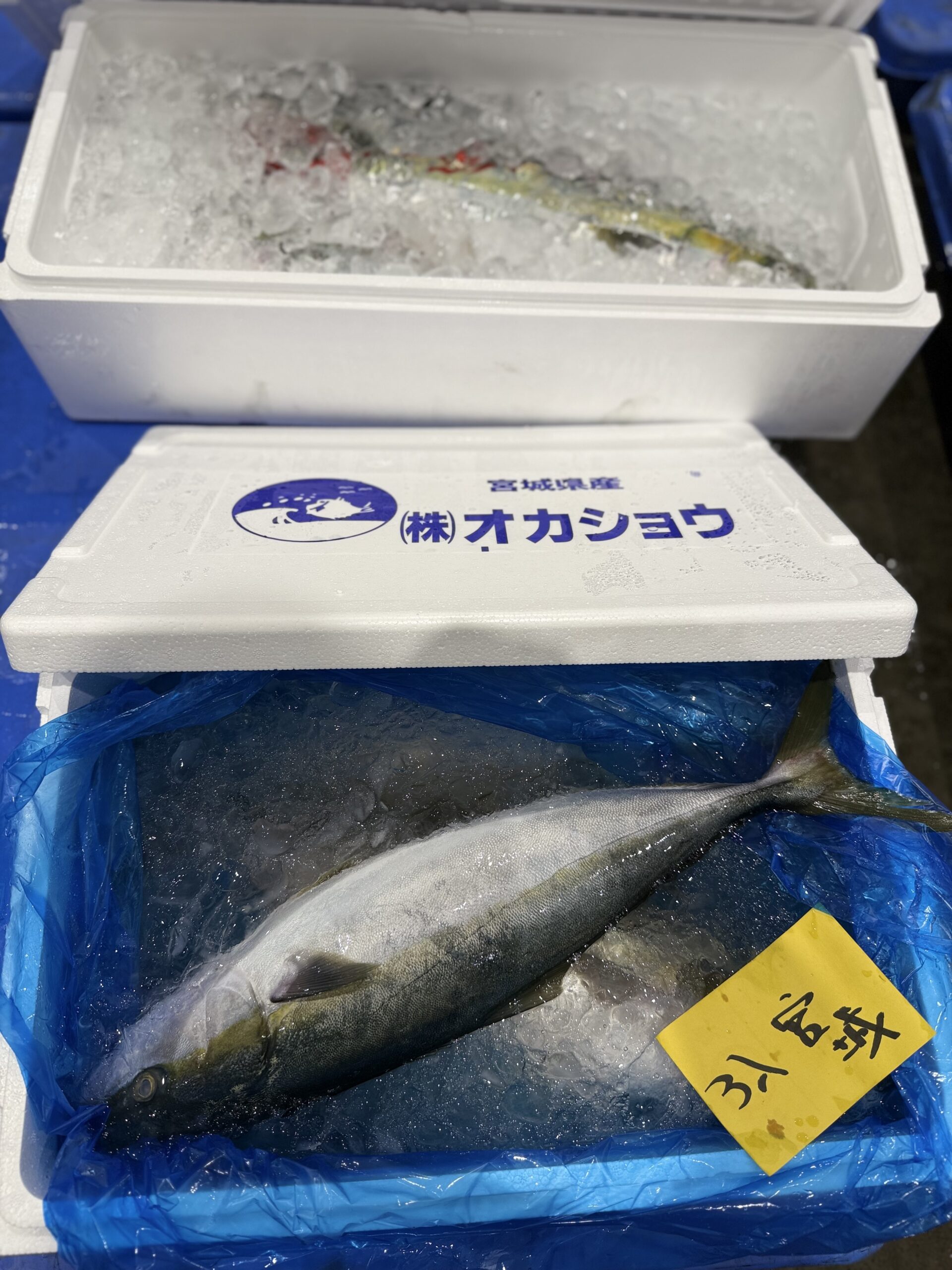 Inada