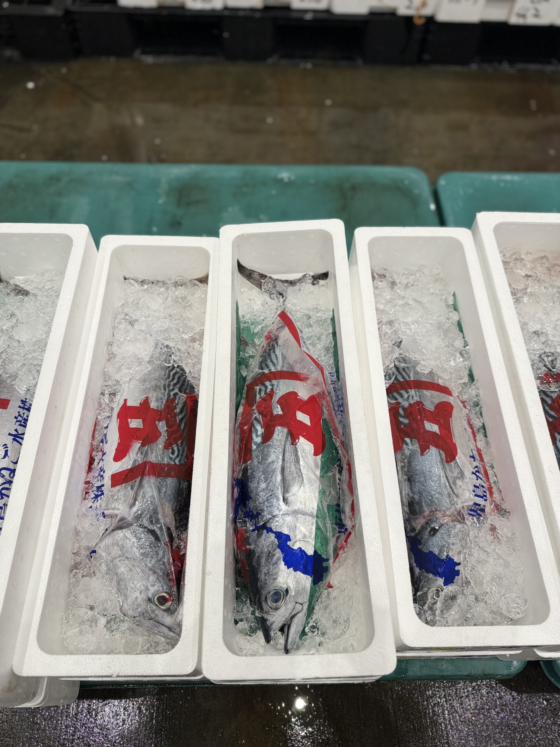 Katsuo