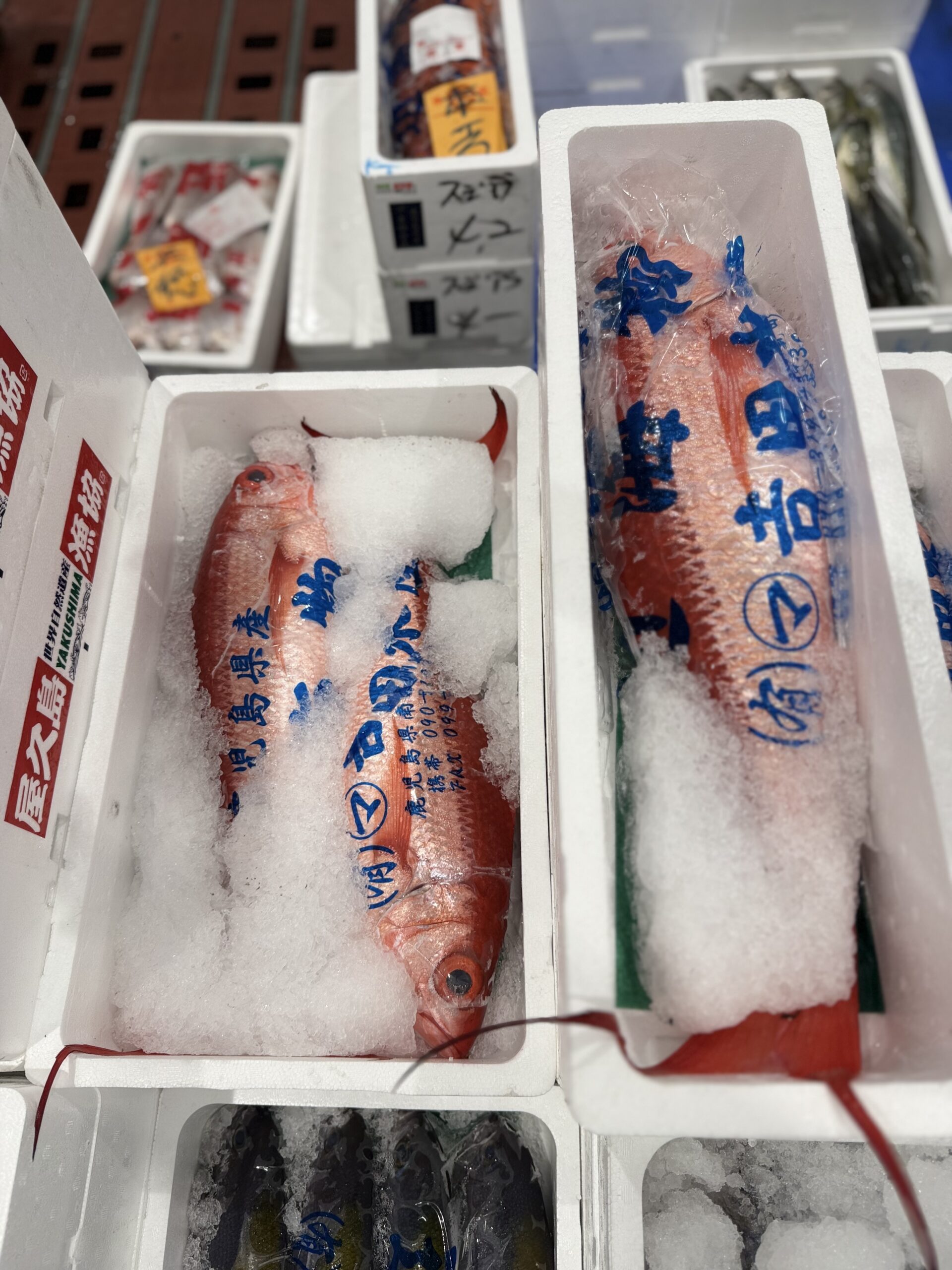 Hamadai
