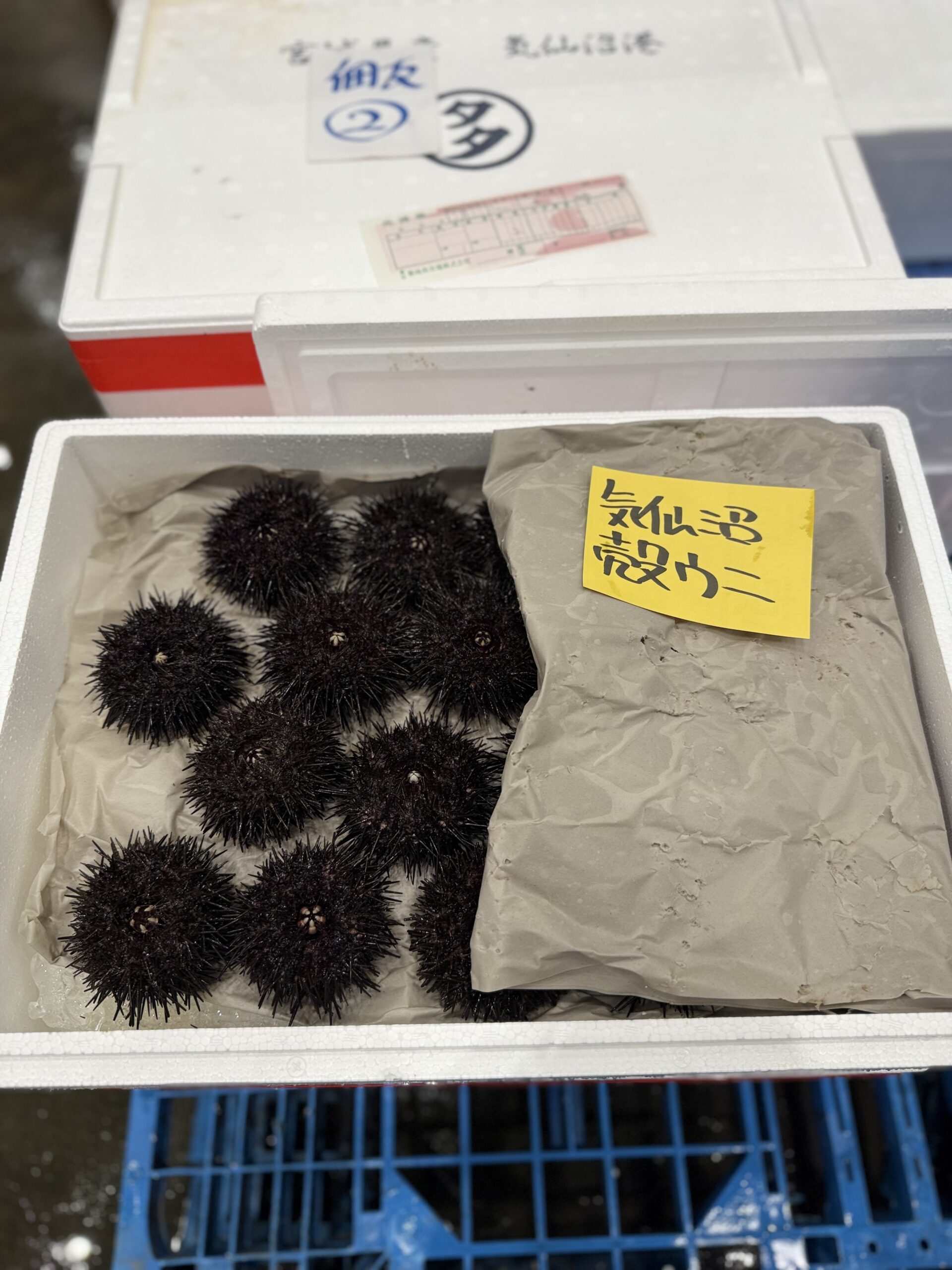 Uni