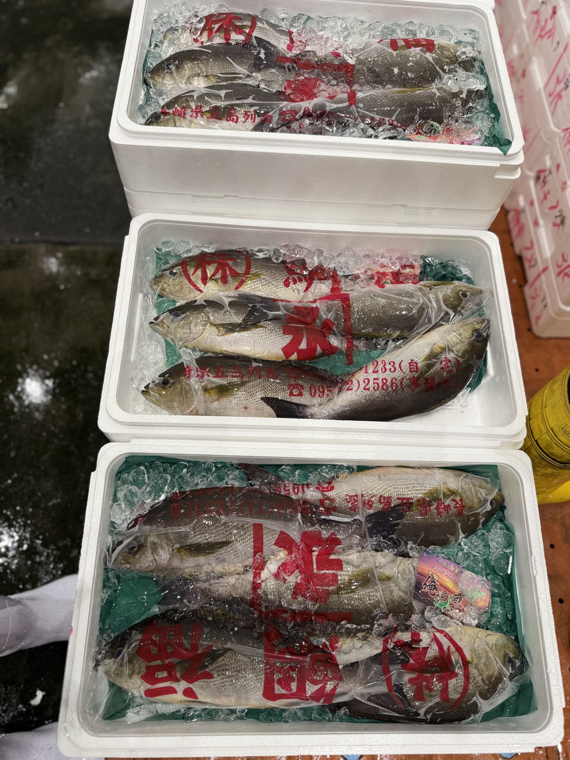 Isaki