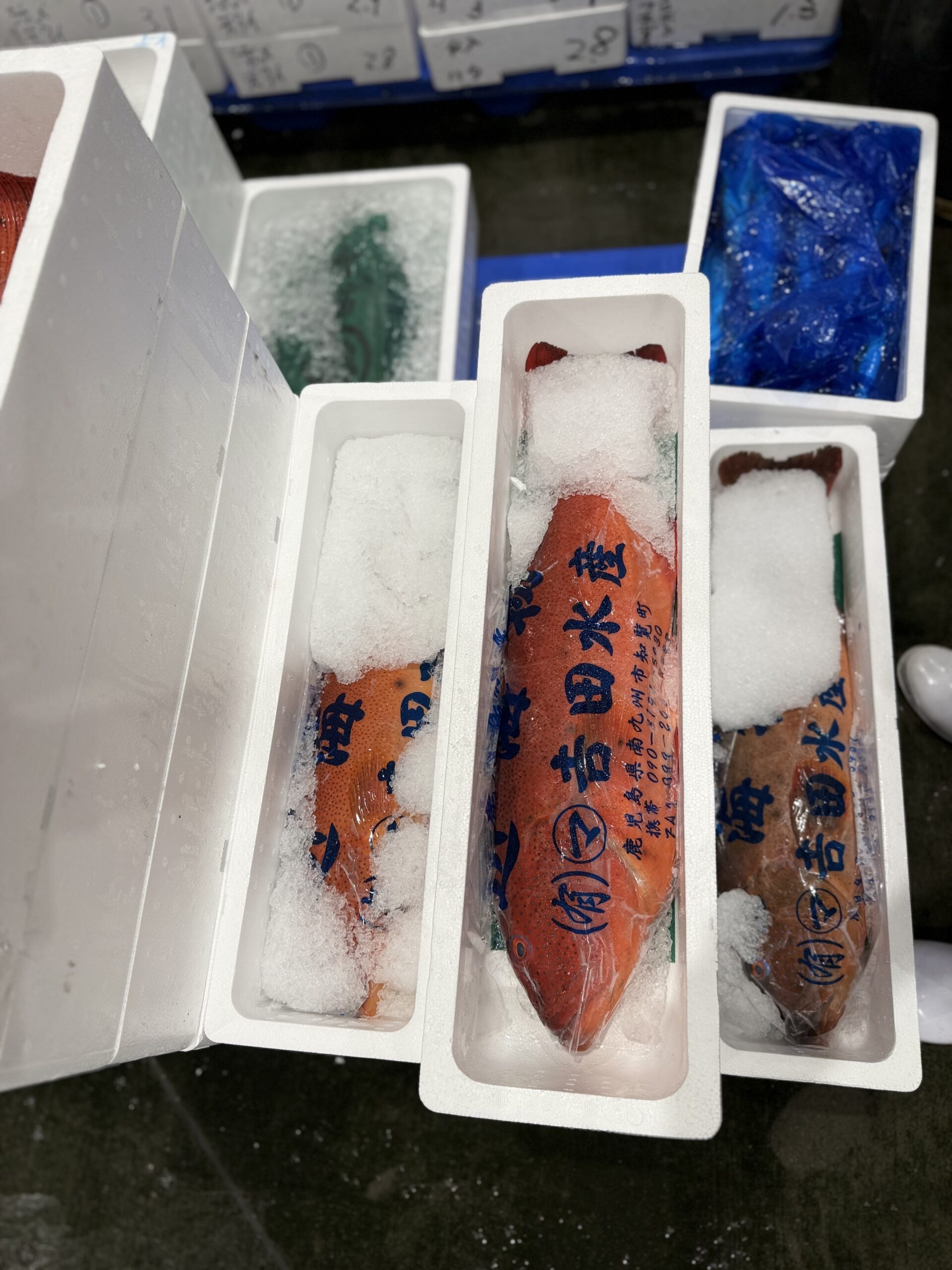 Sujiara