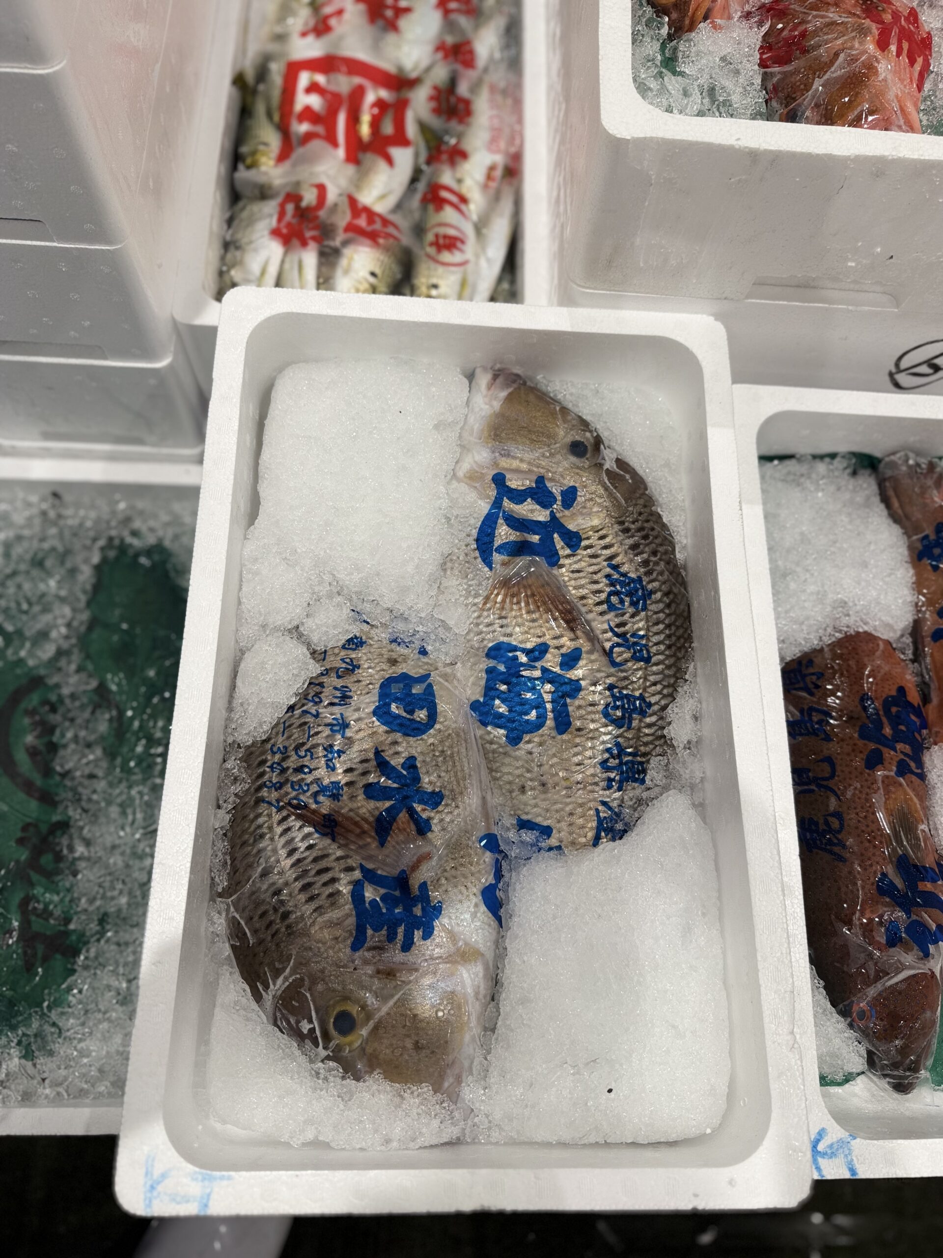 Meichidai