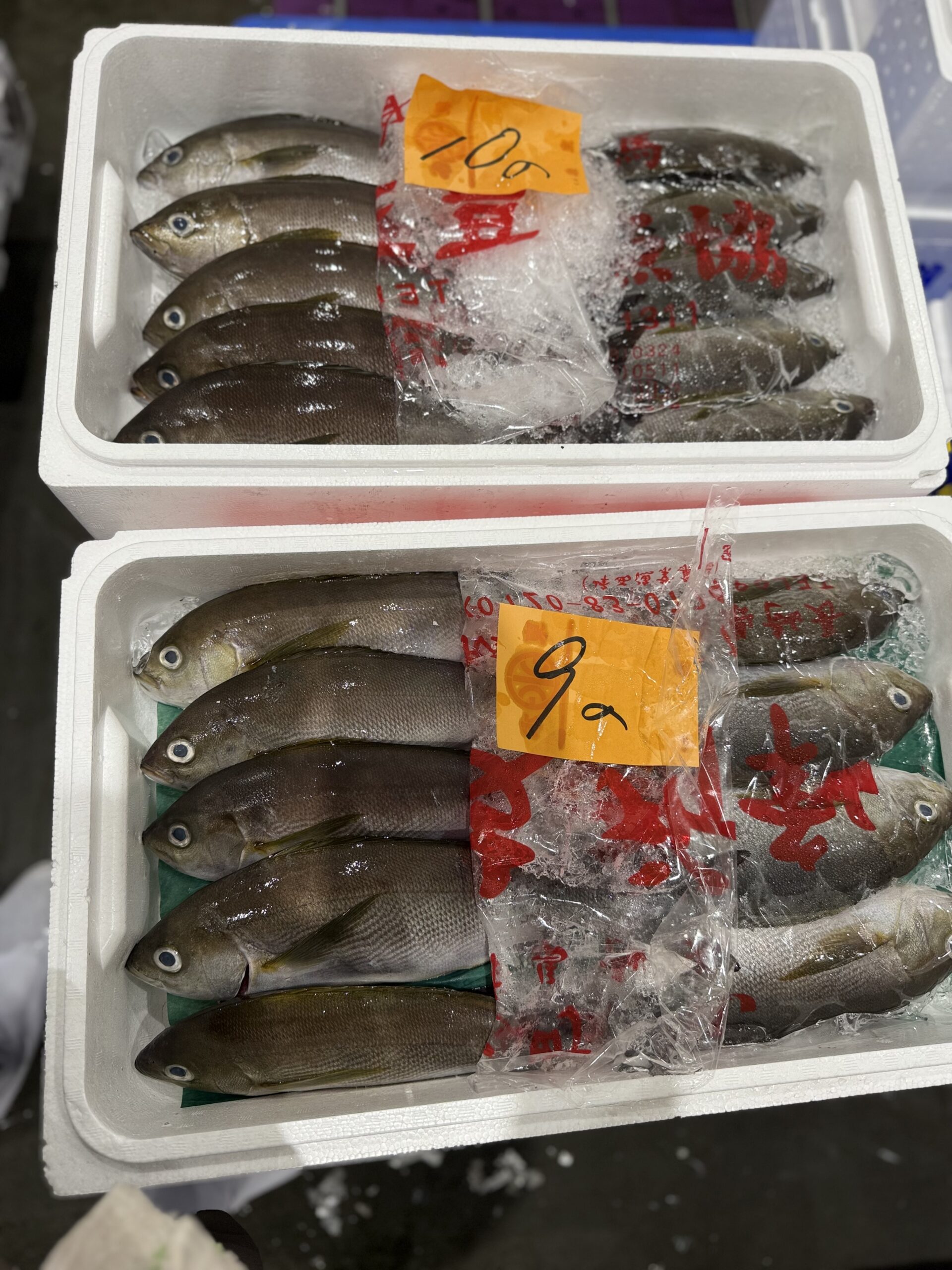 Isaki
