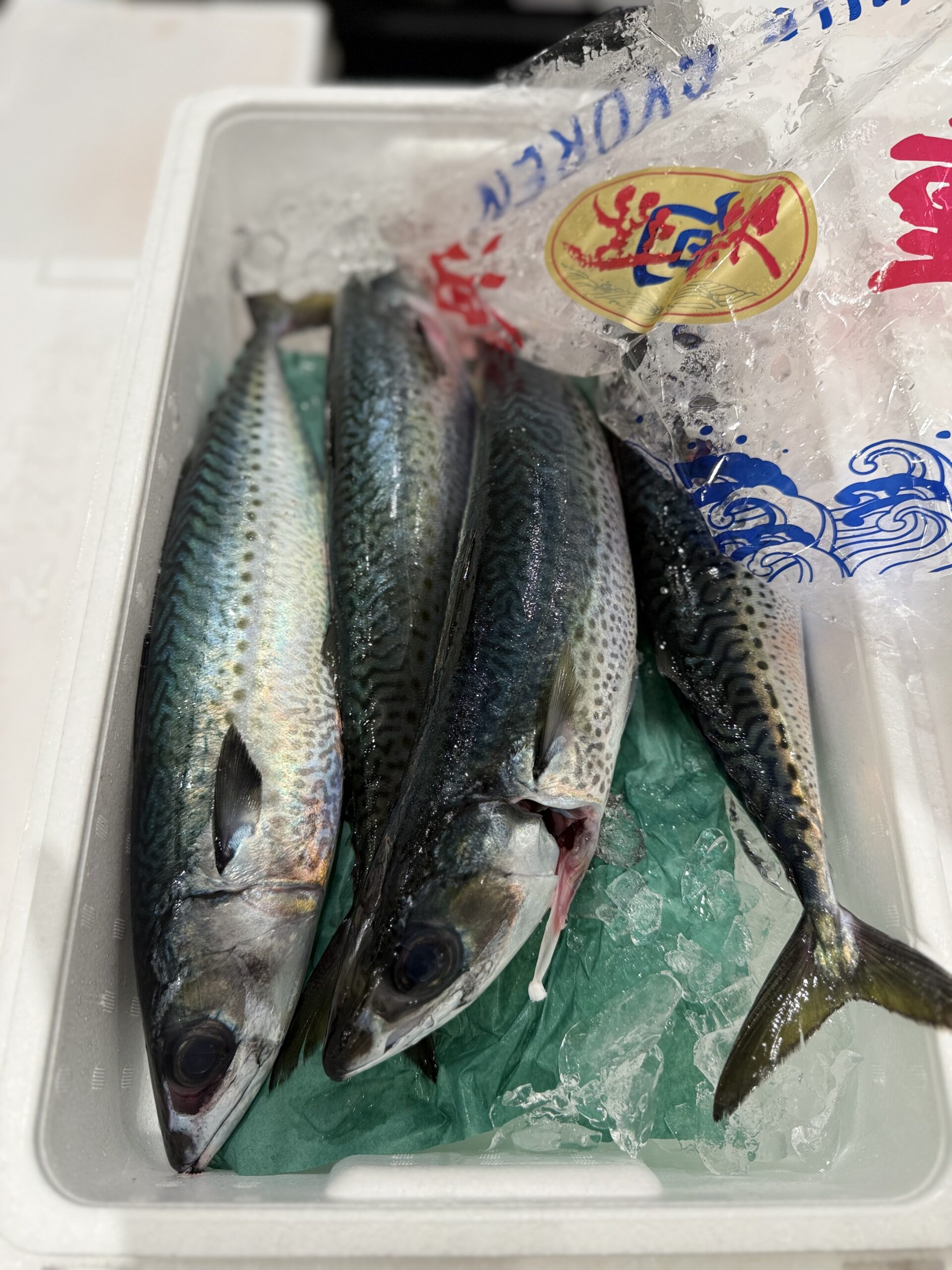 Saba