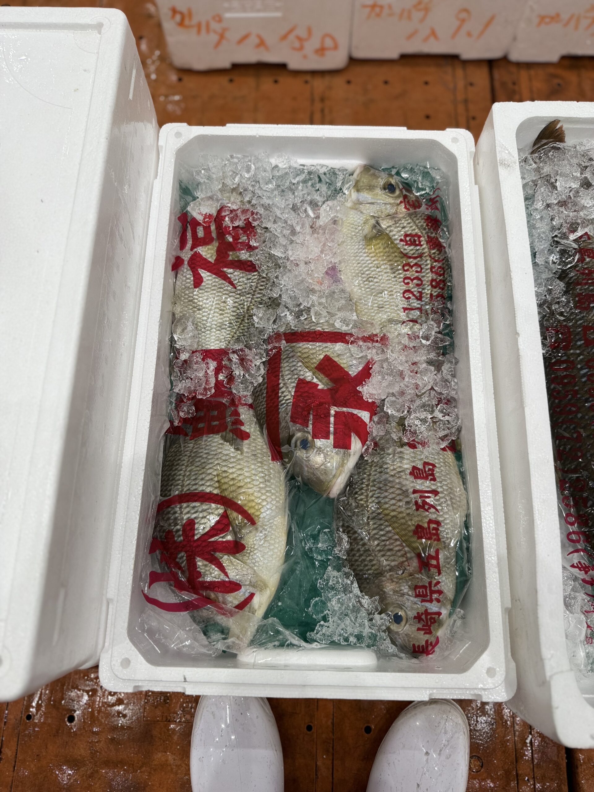 Meichidai
