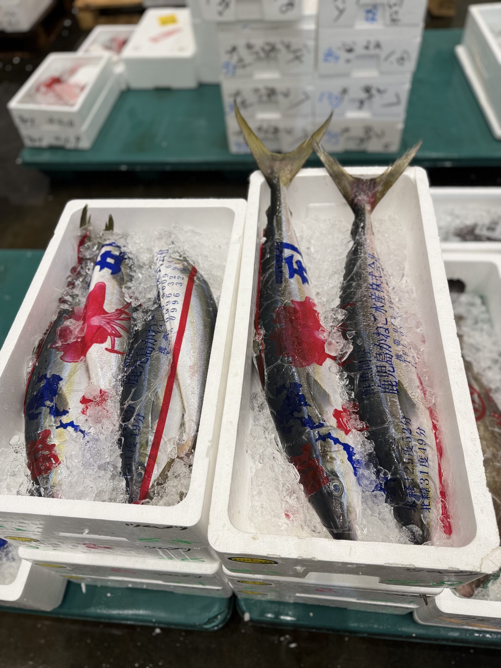 Tsumuburi