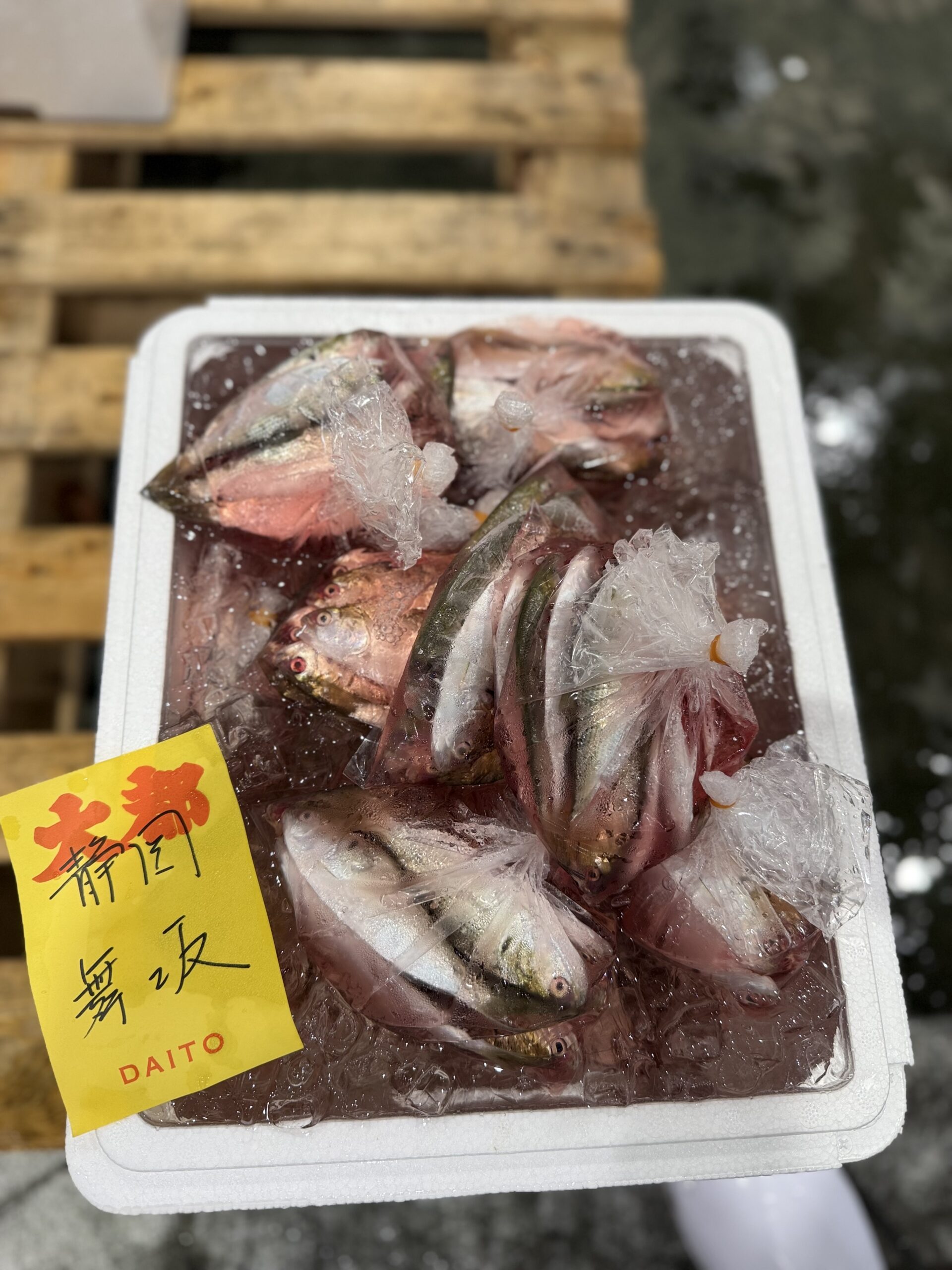 Kohada