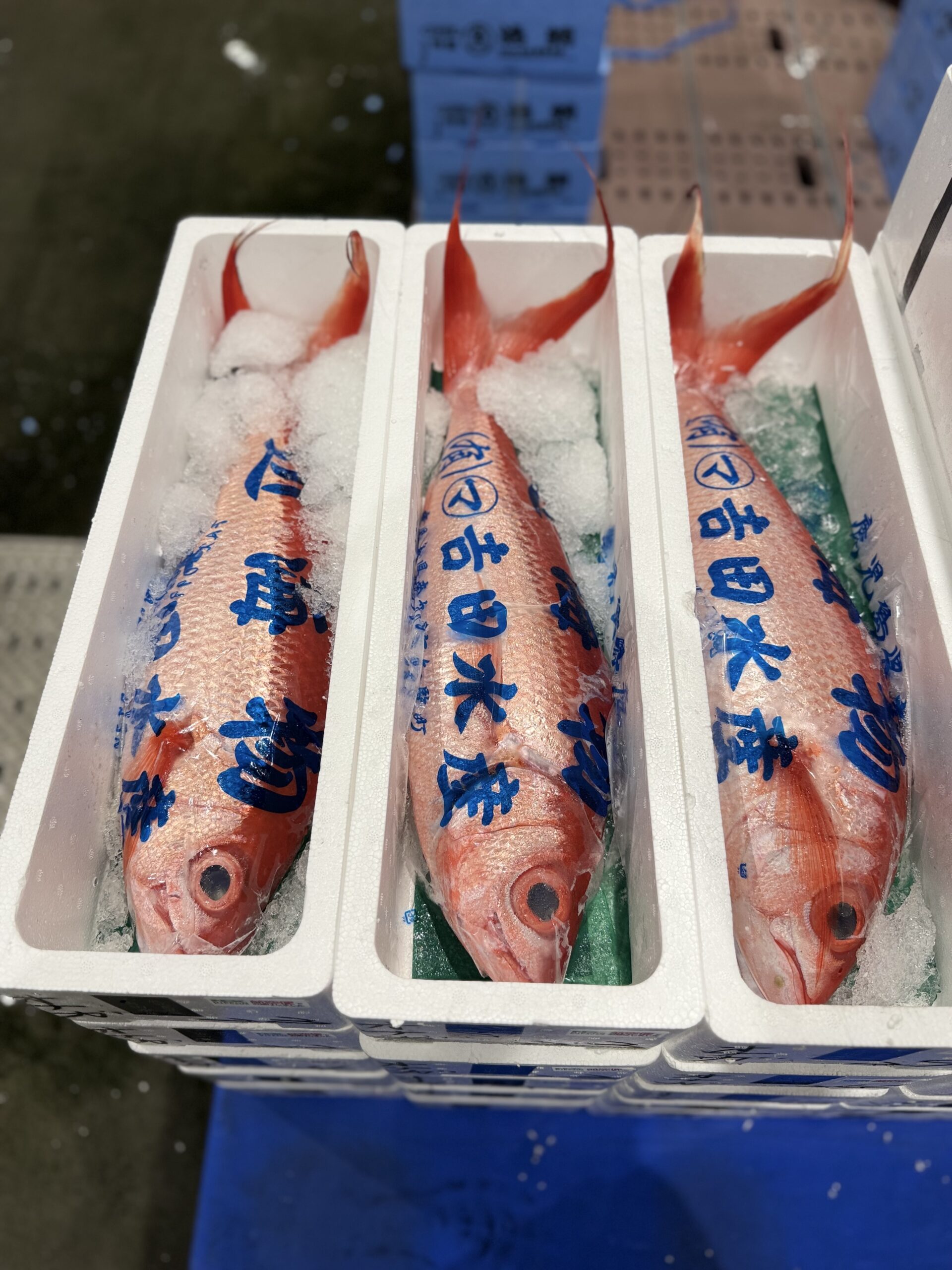 Hamadai