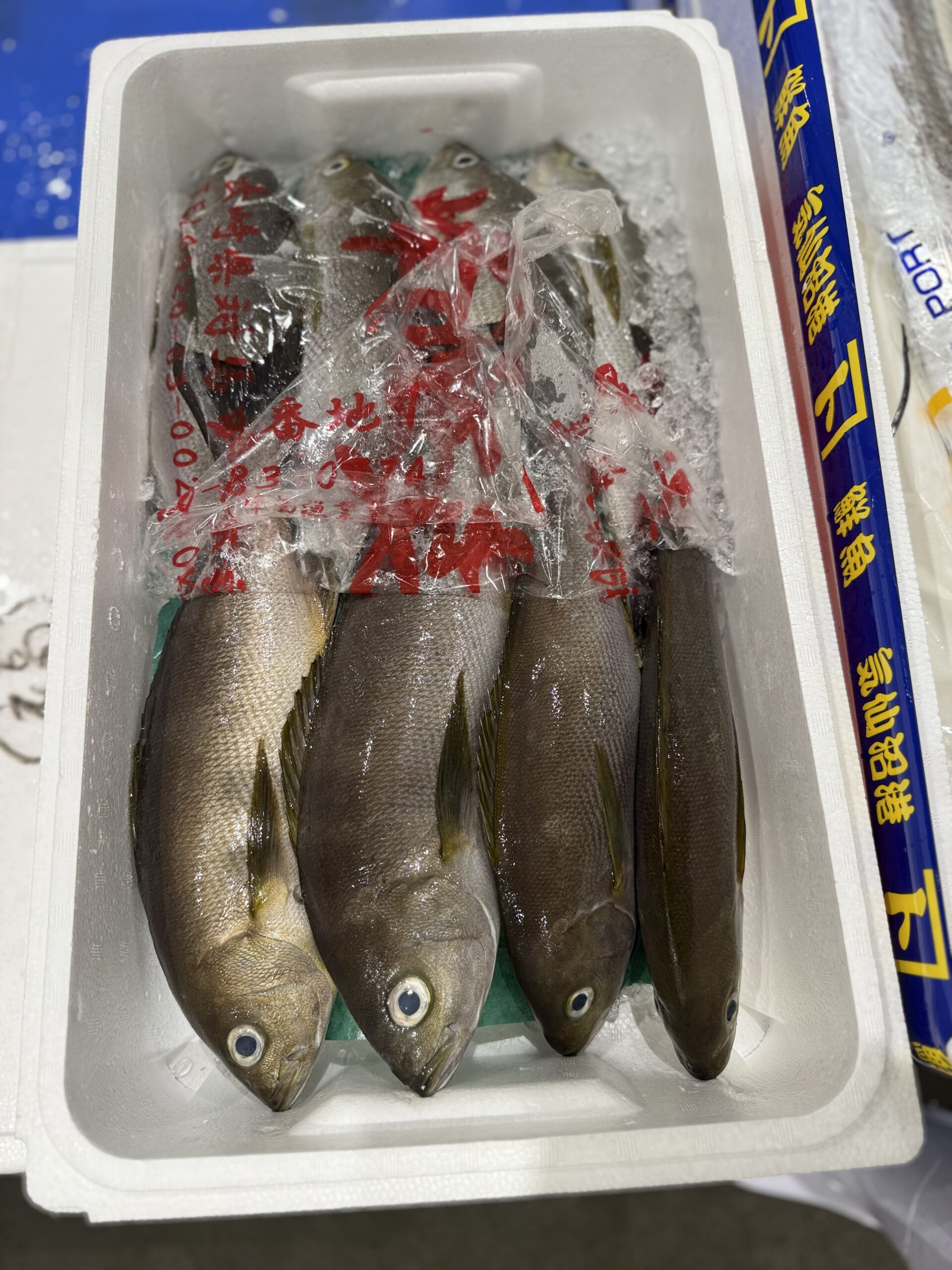 Isaki