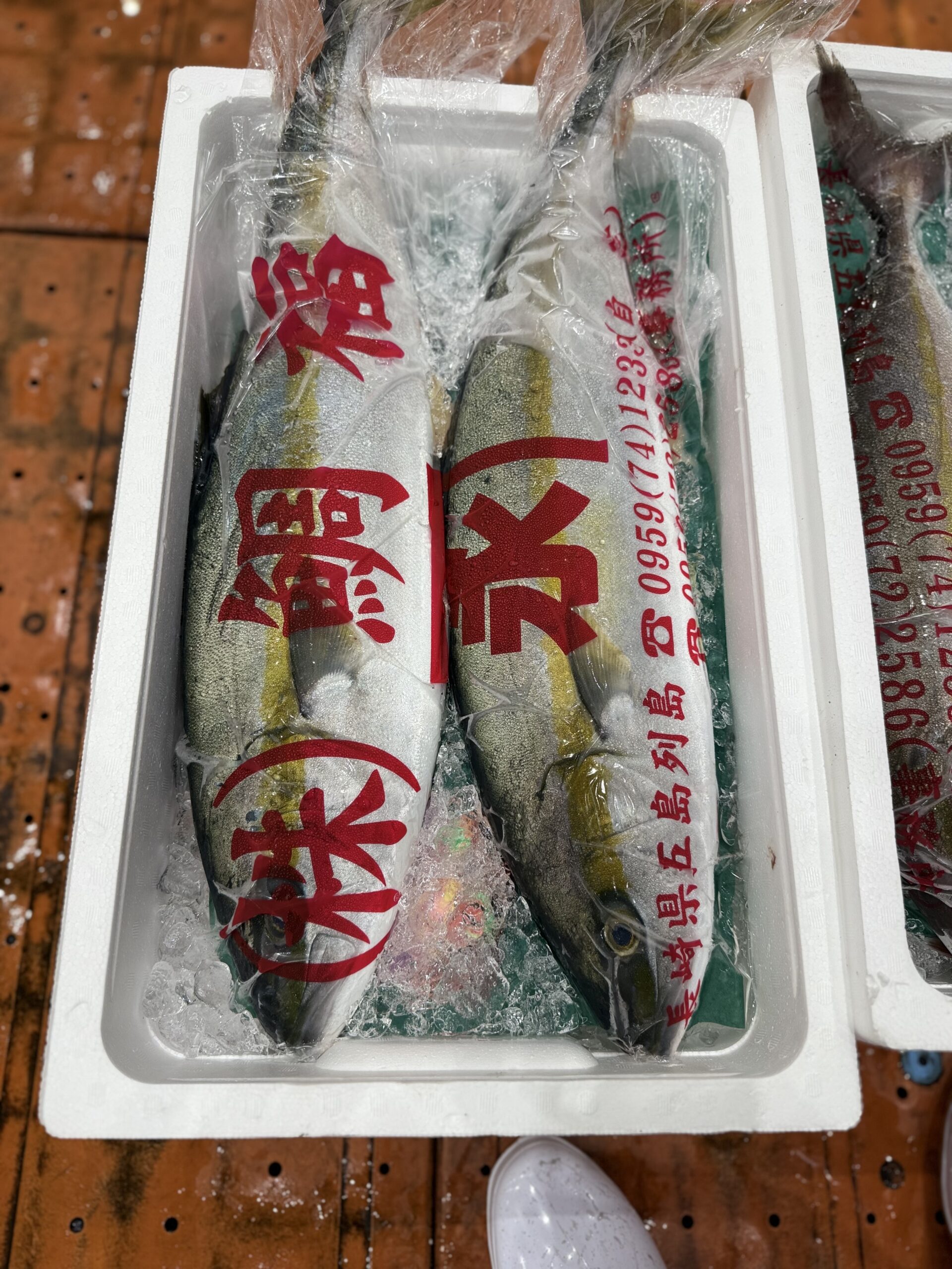 Hiramasa