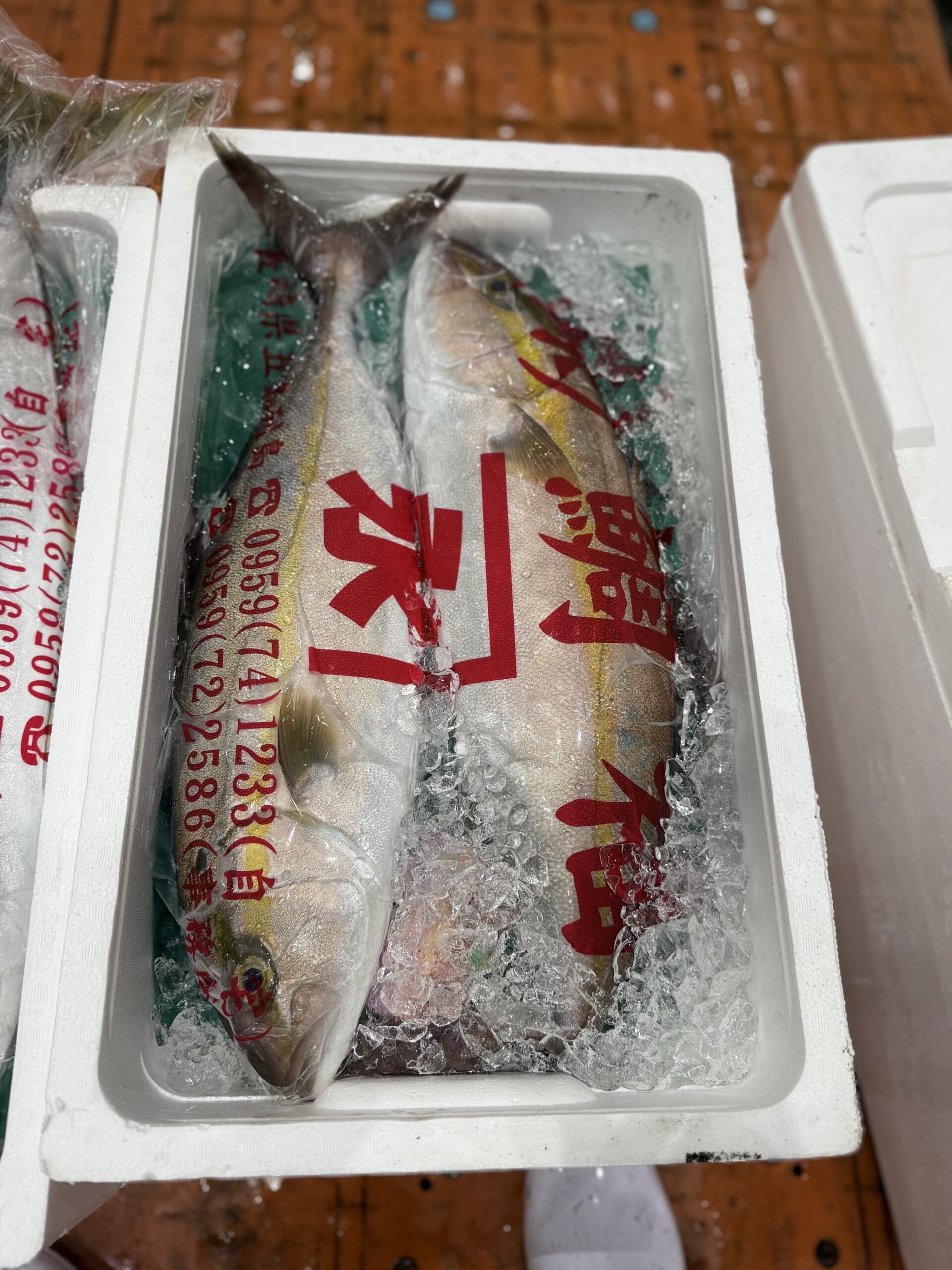 Kanpachi