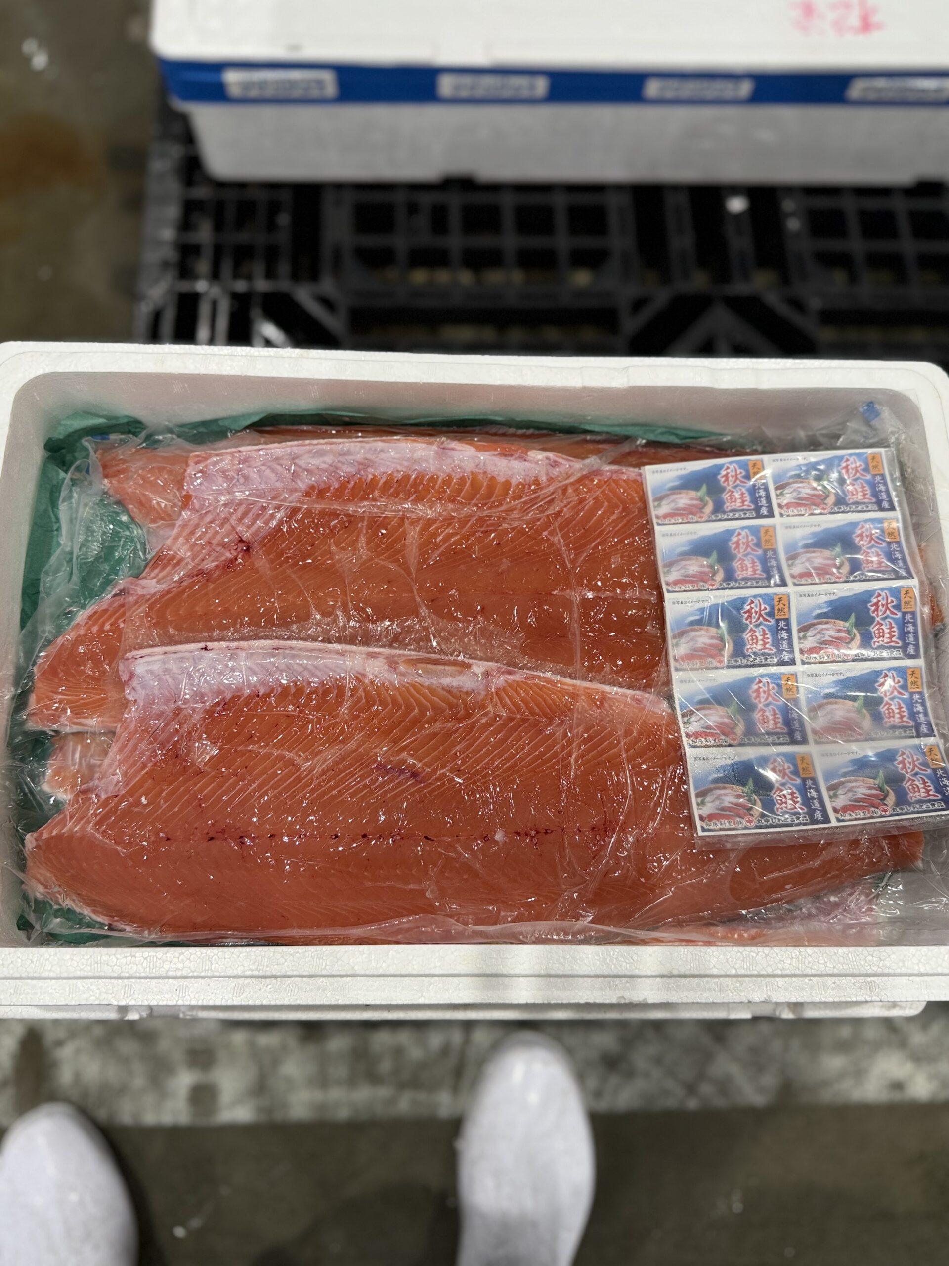 Tokizake Fillet