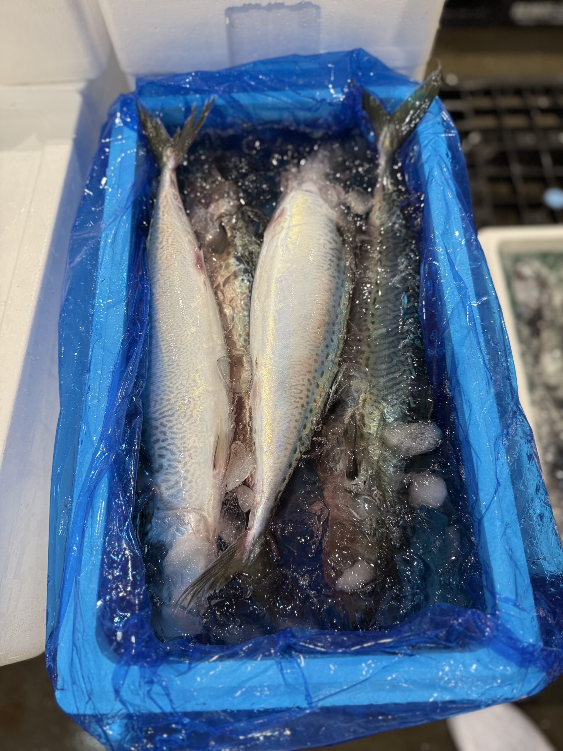 Goma Saba