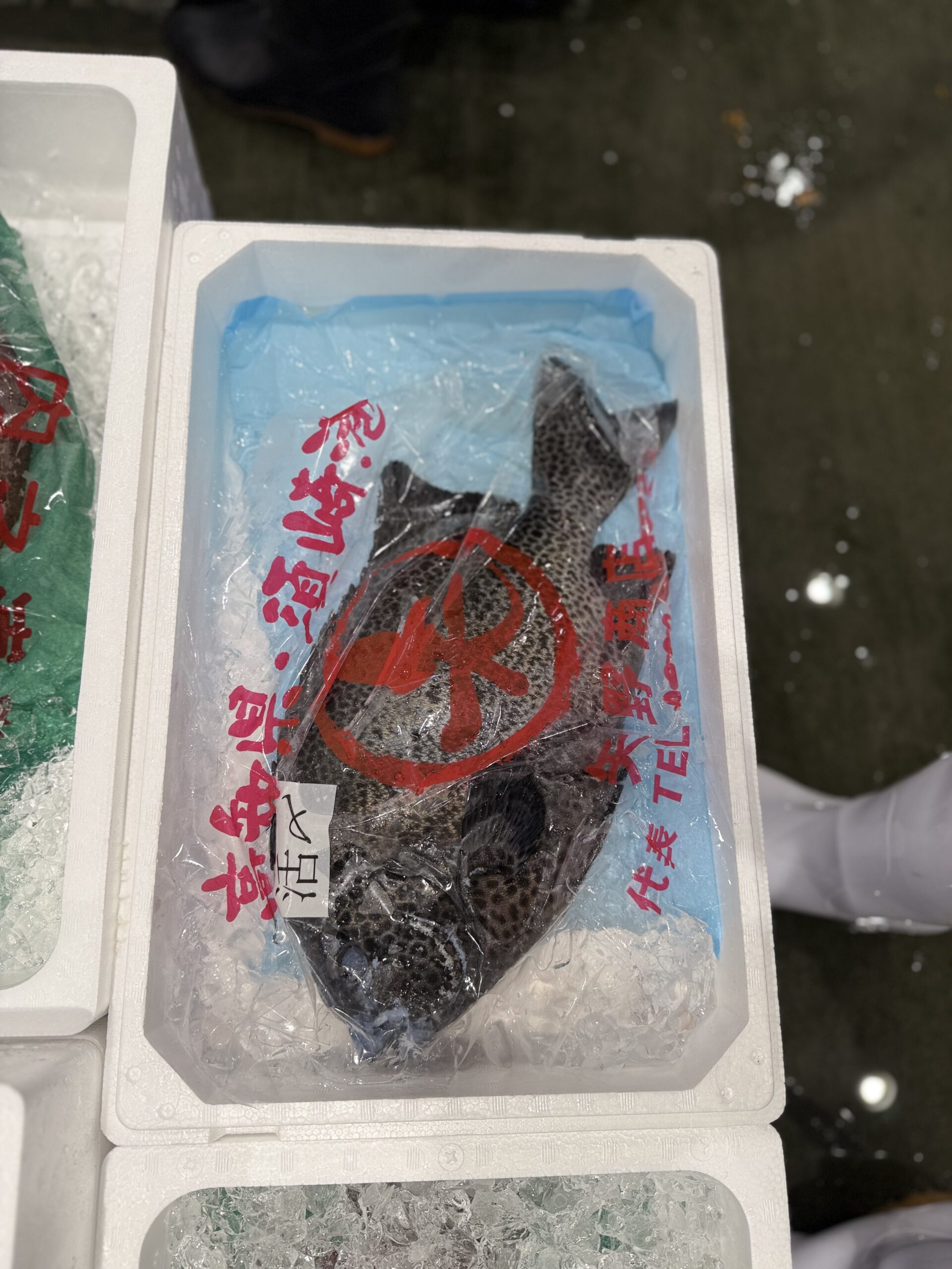 Ishigakidai