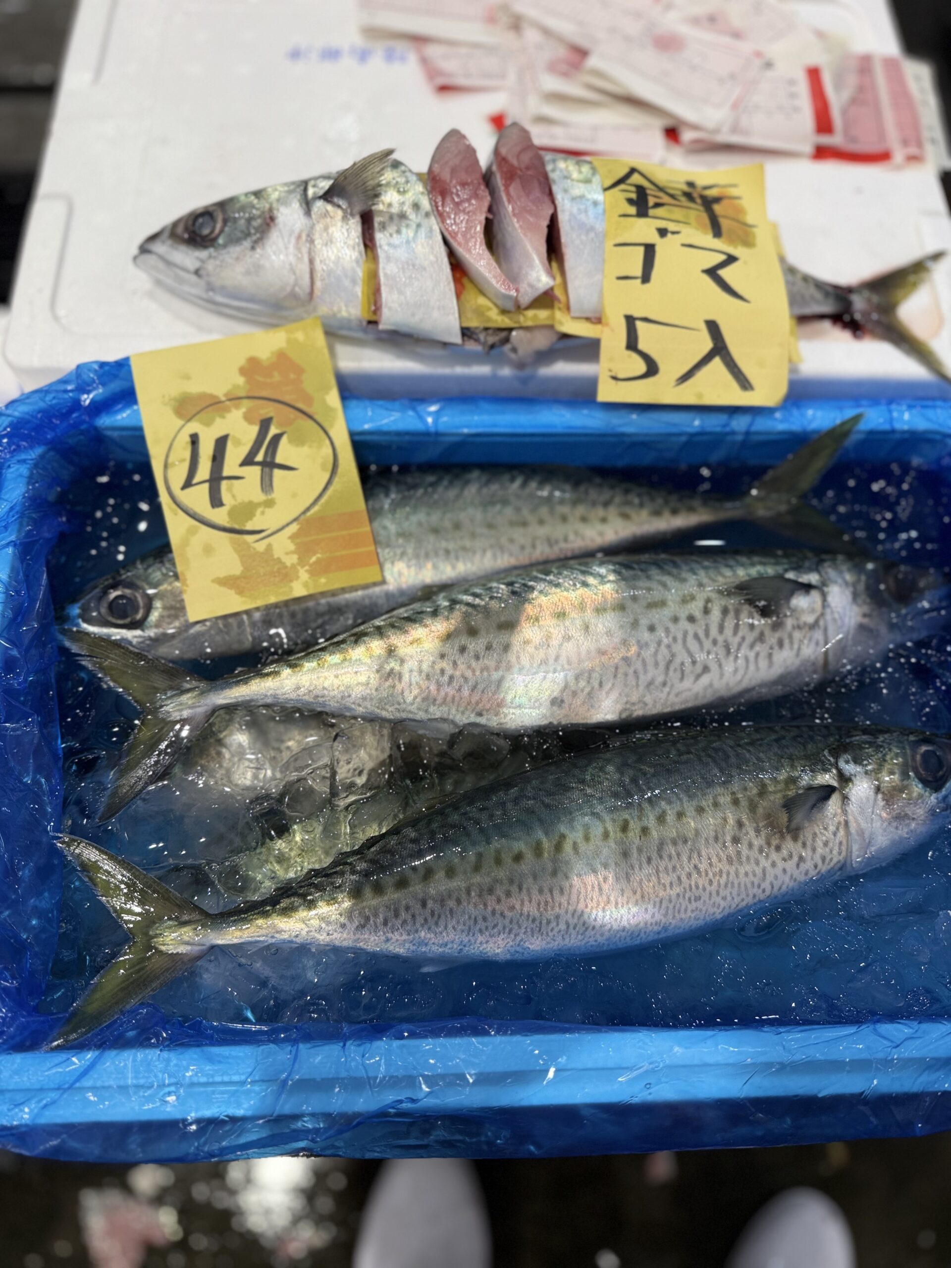Goma saba