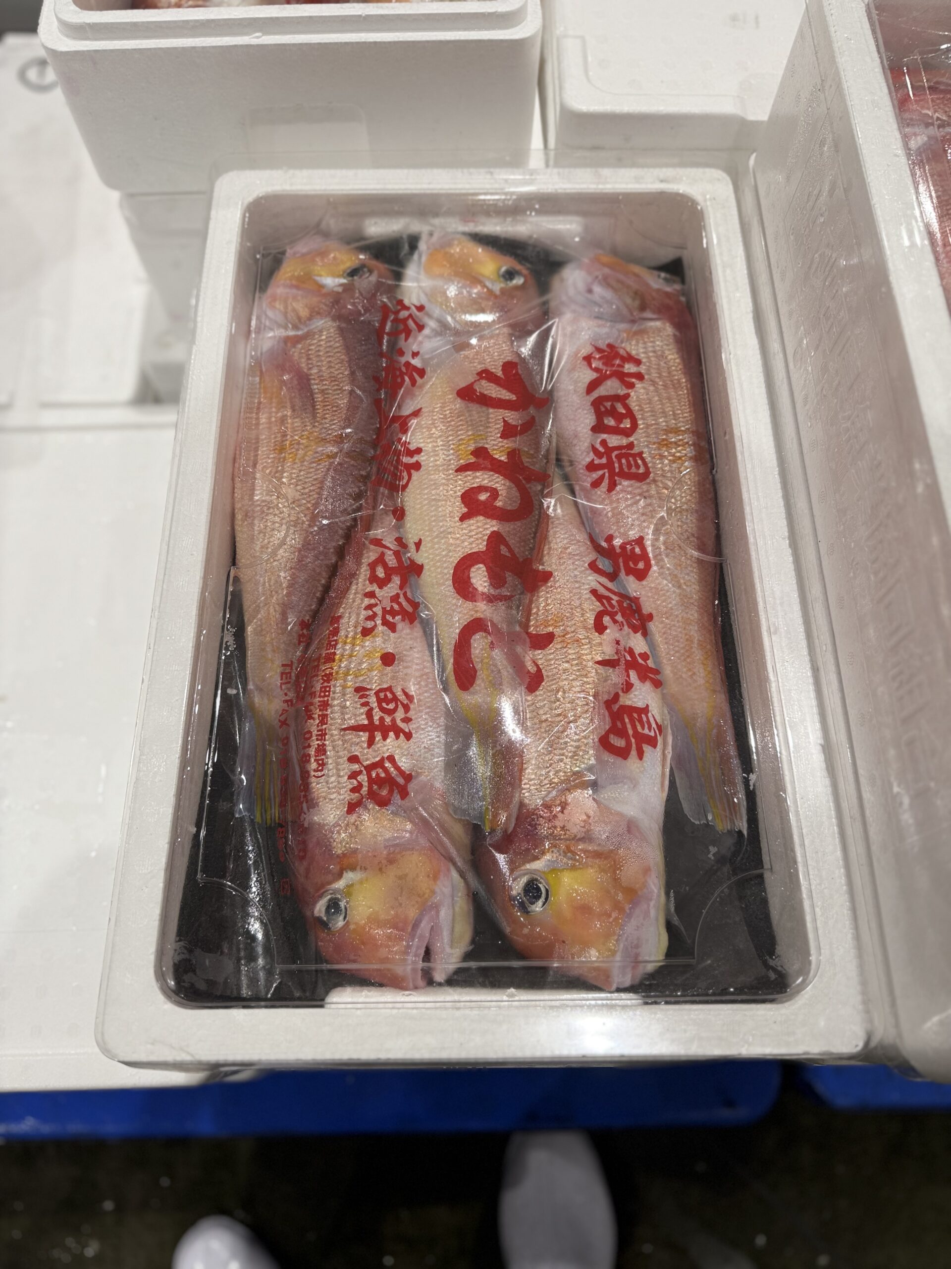 Amadai