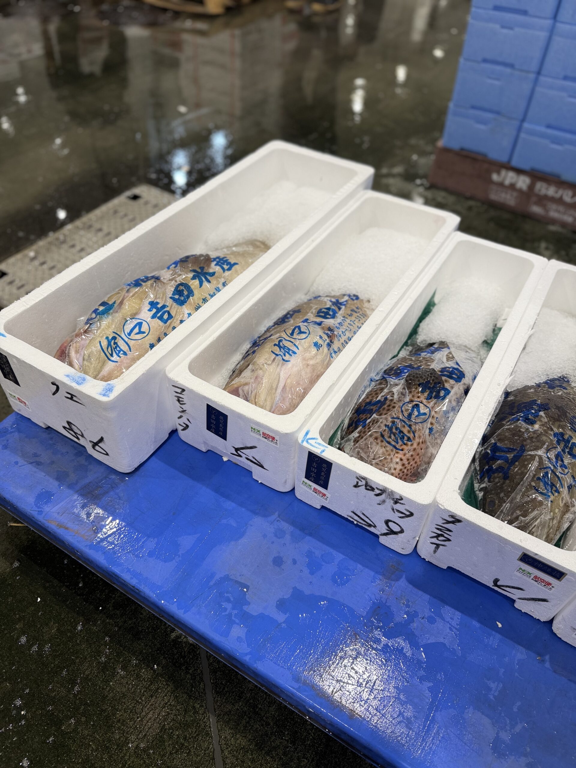Hata/Kue