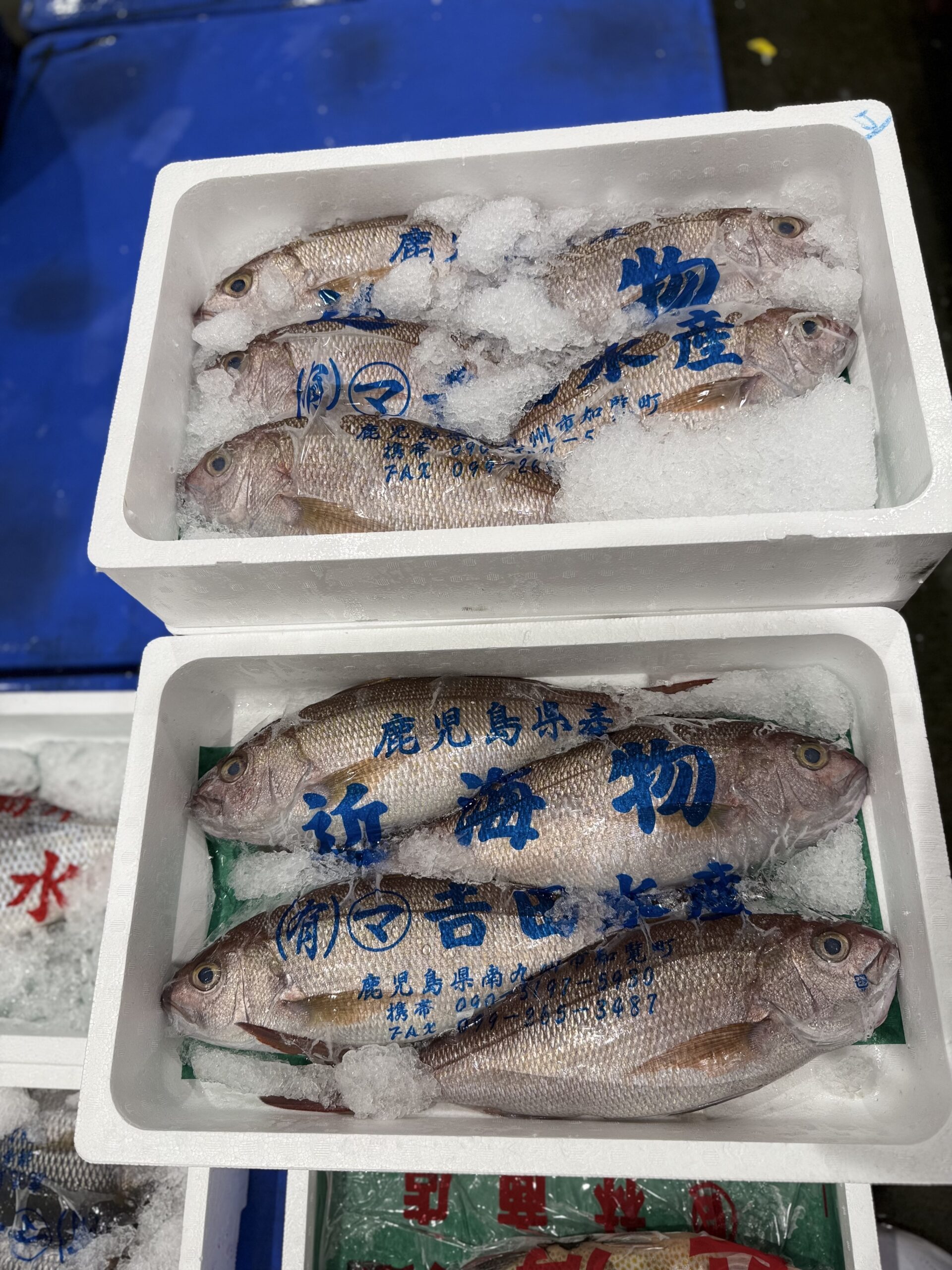 Himedai